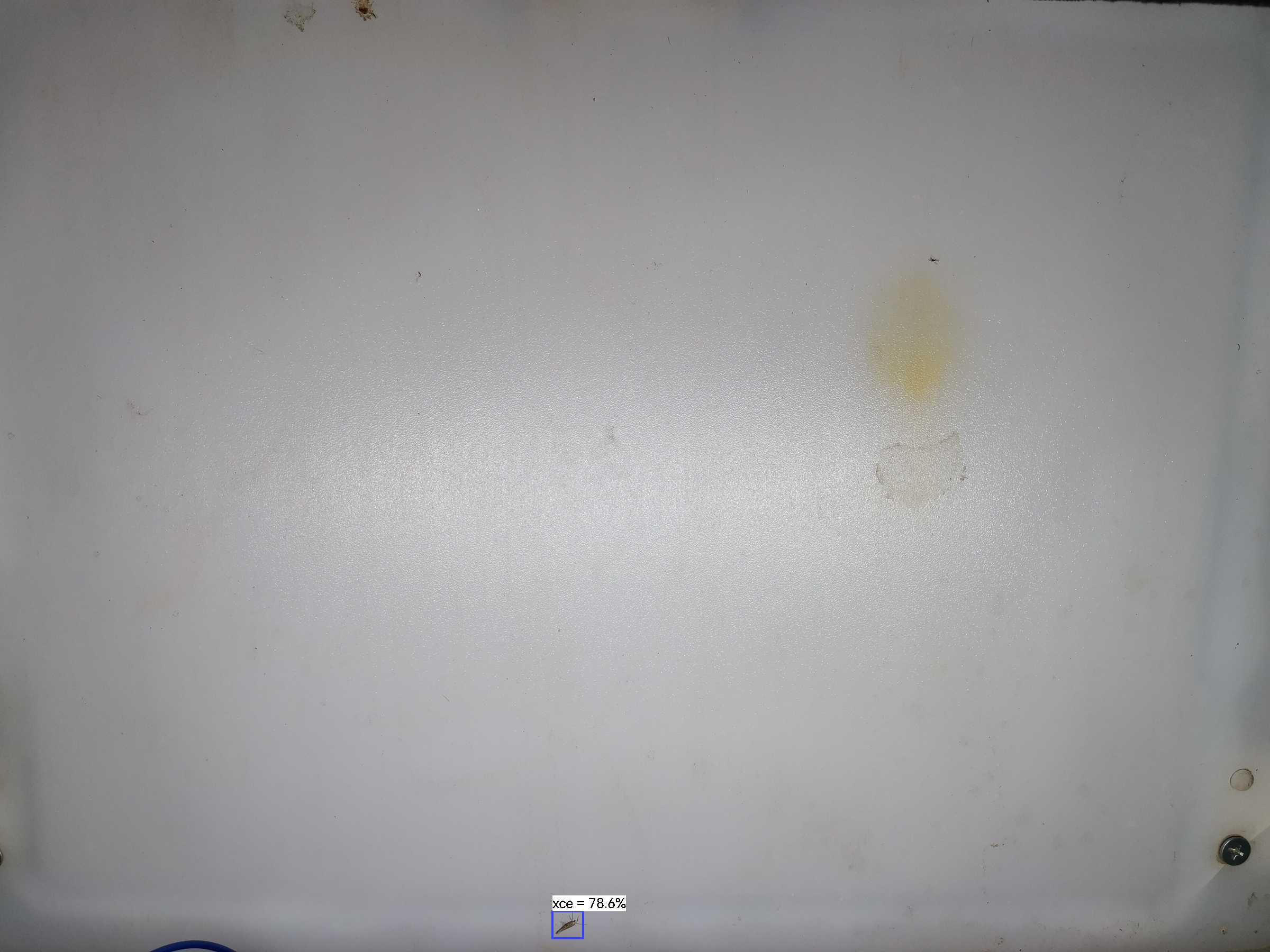 虫情图片19:03:59