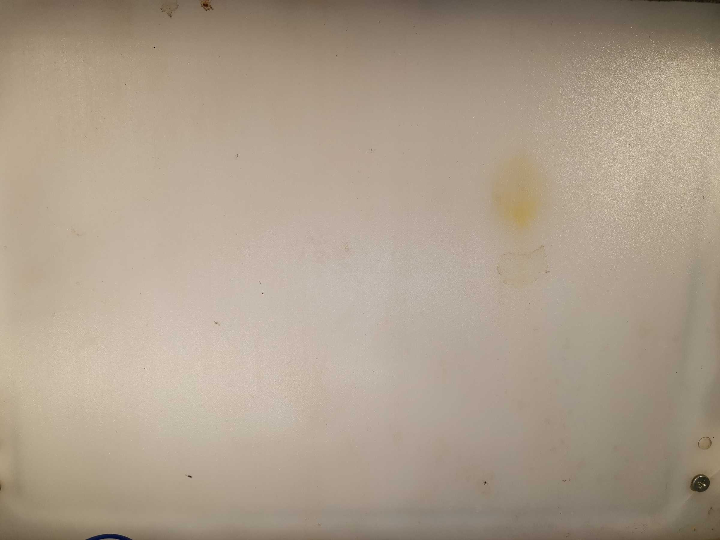 虫情图片19:34:56