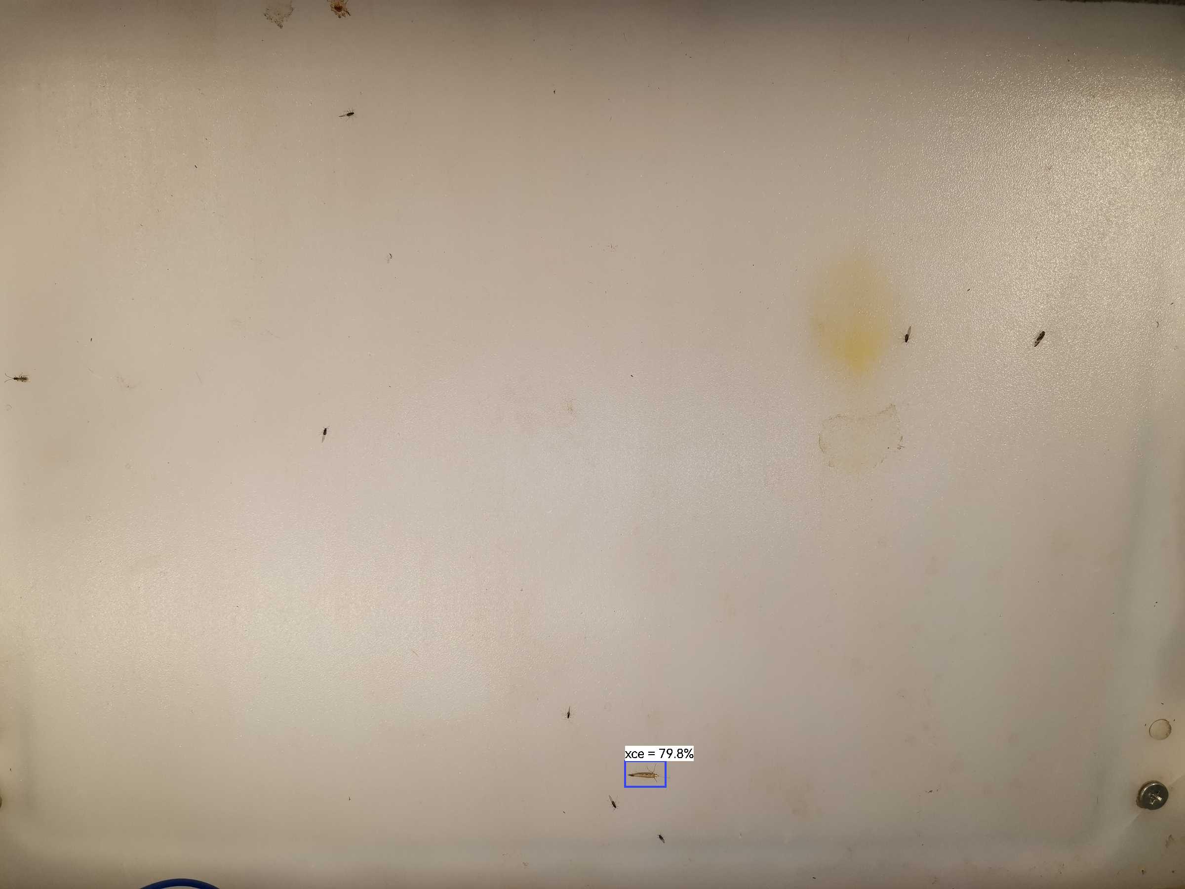 虫情图片20:08:56