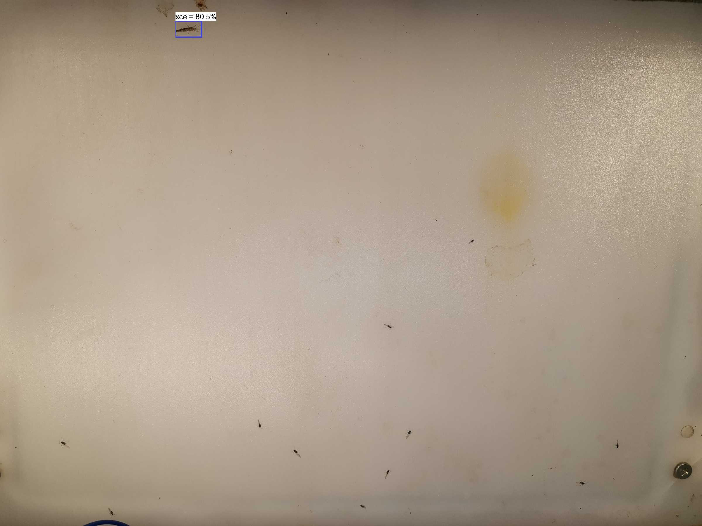 虫情图片20:35:44