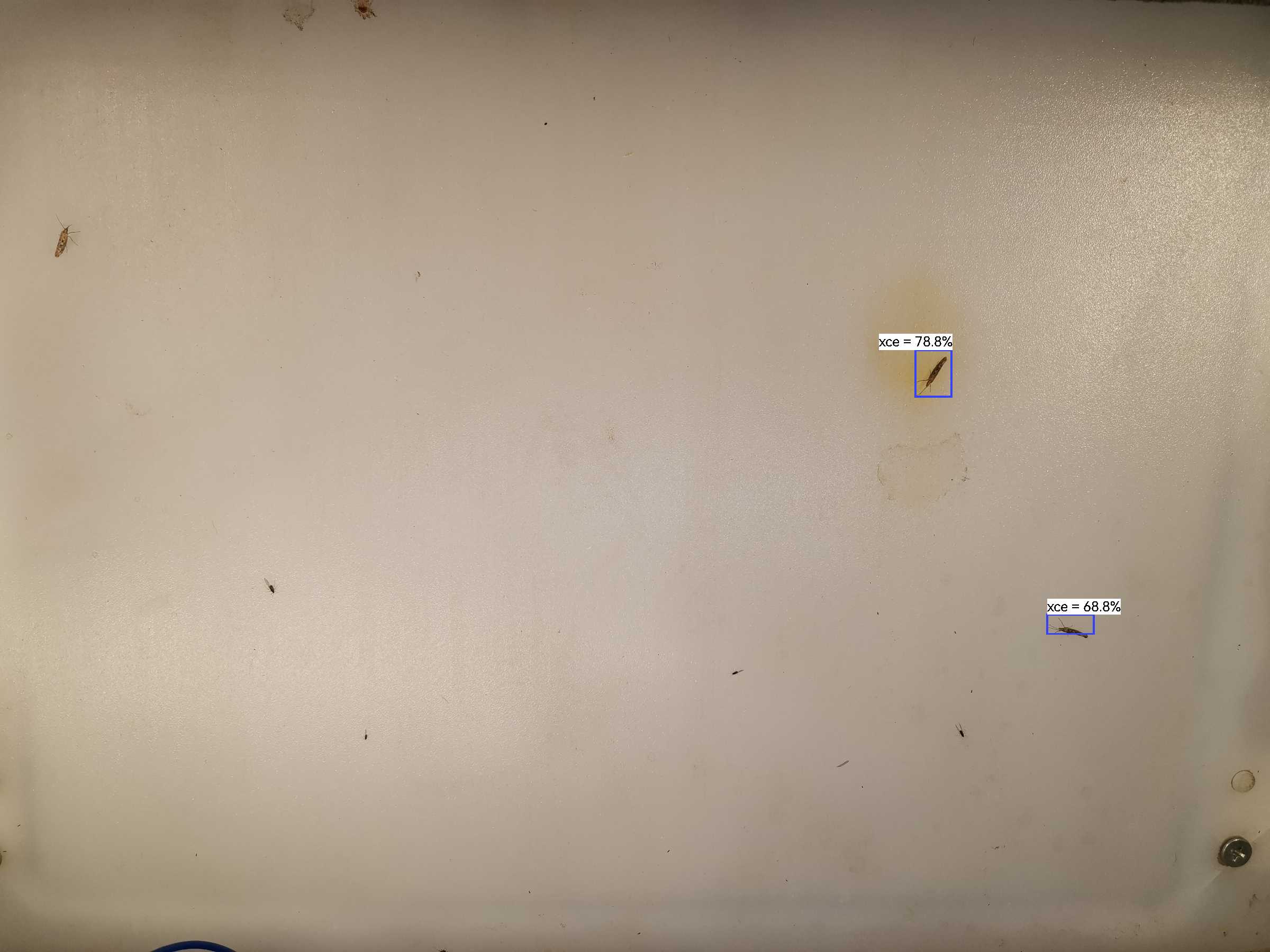 虫情图片21:41:33