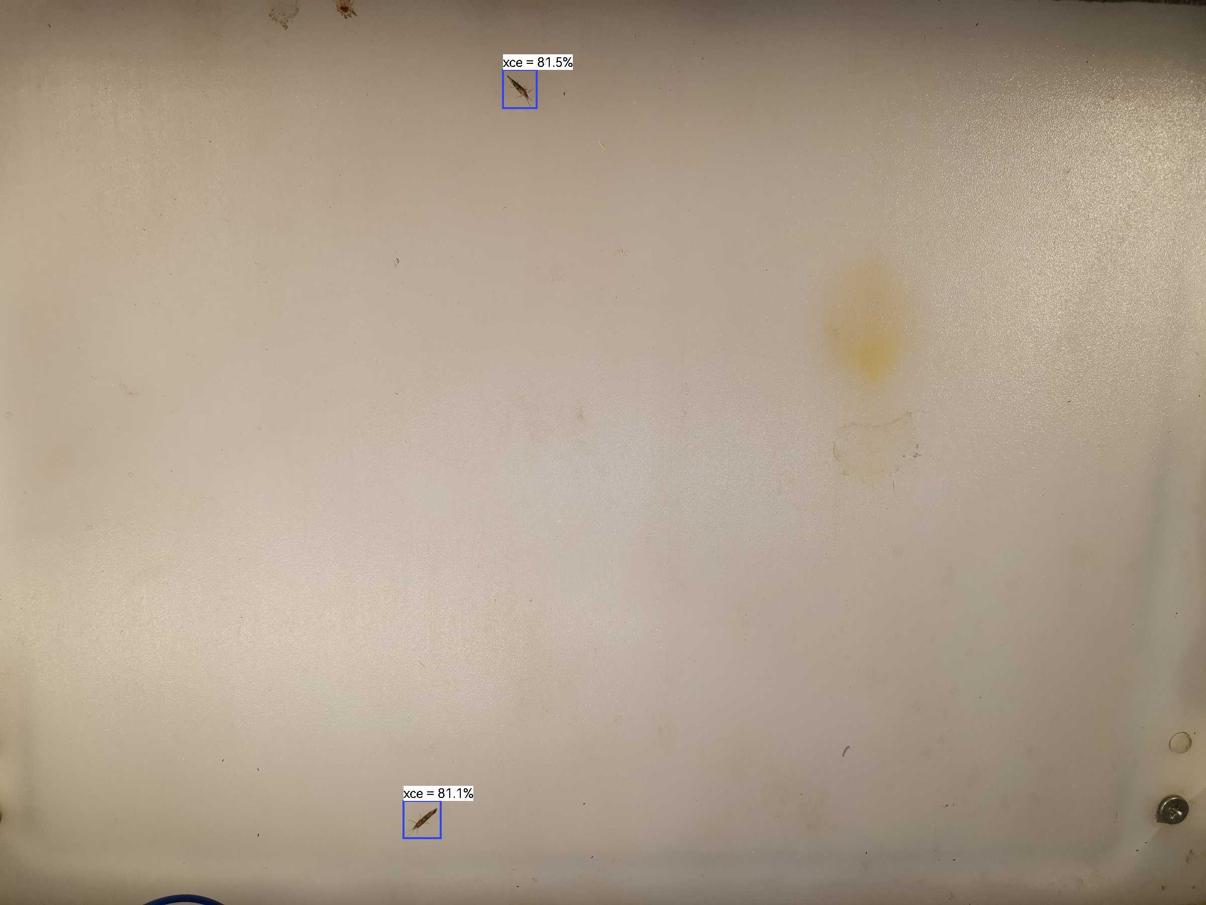 虫情图片22:11:33