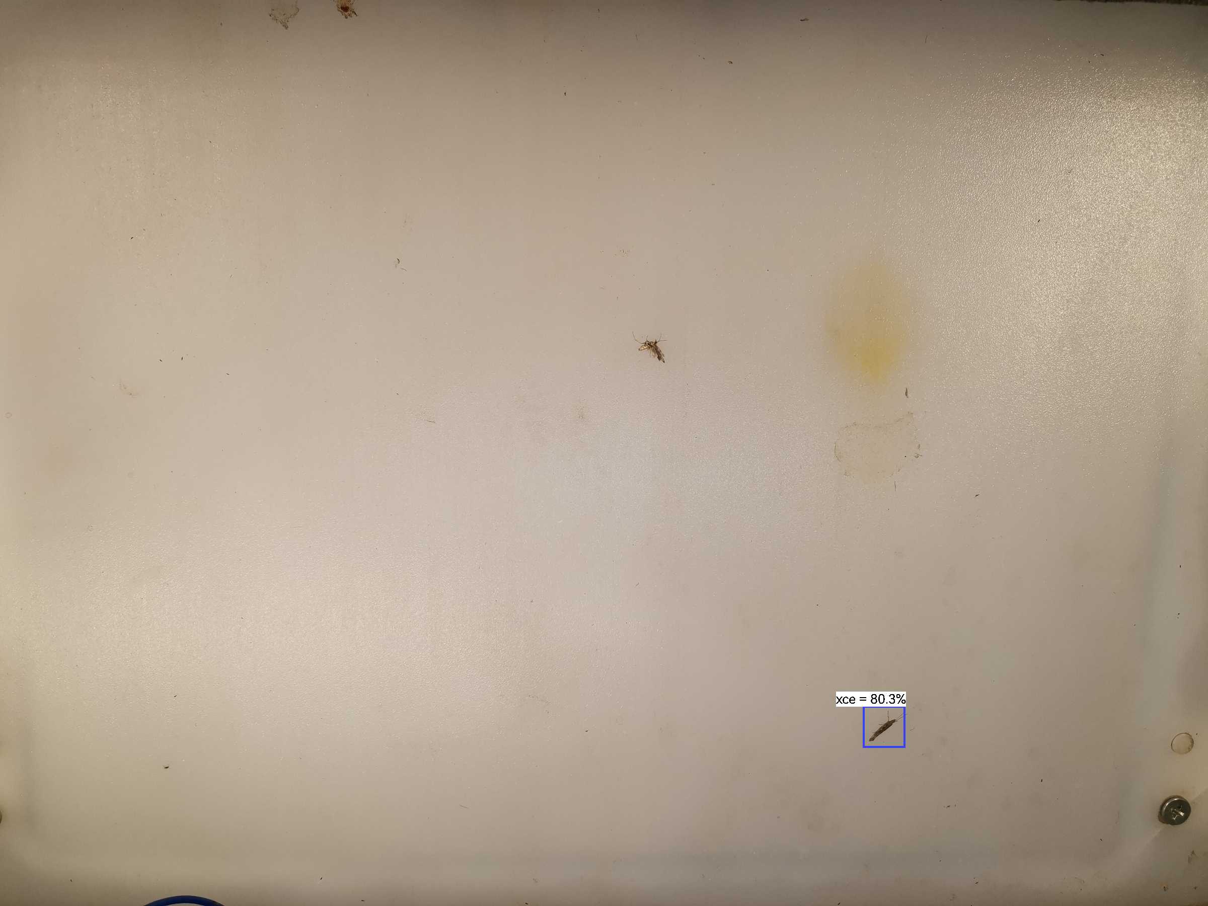 虫情图片23:06:03