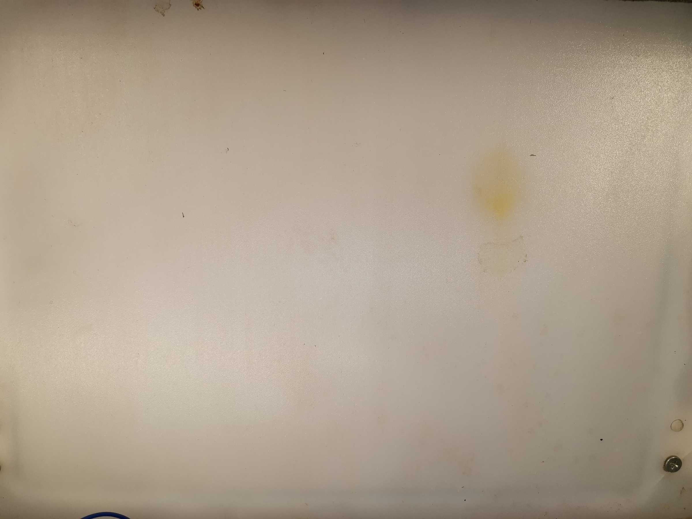 虫情图片19:36:39