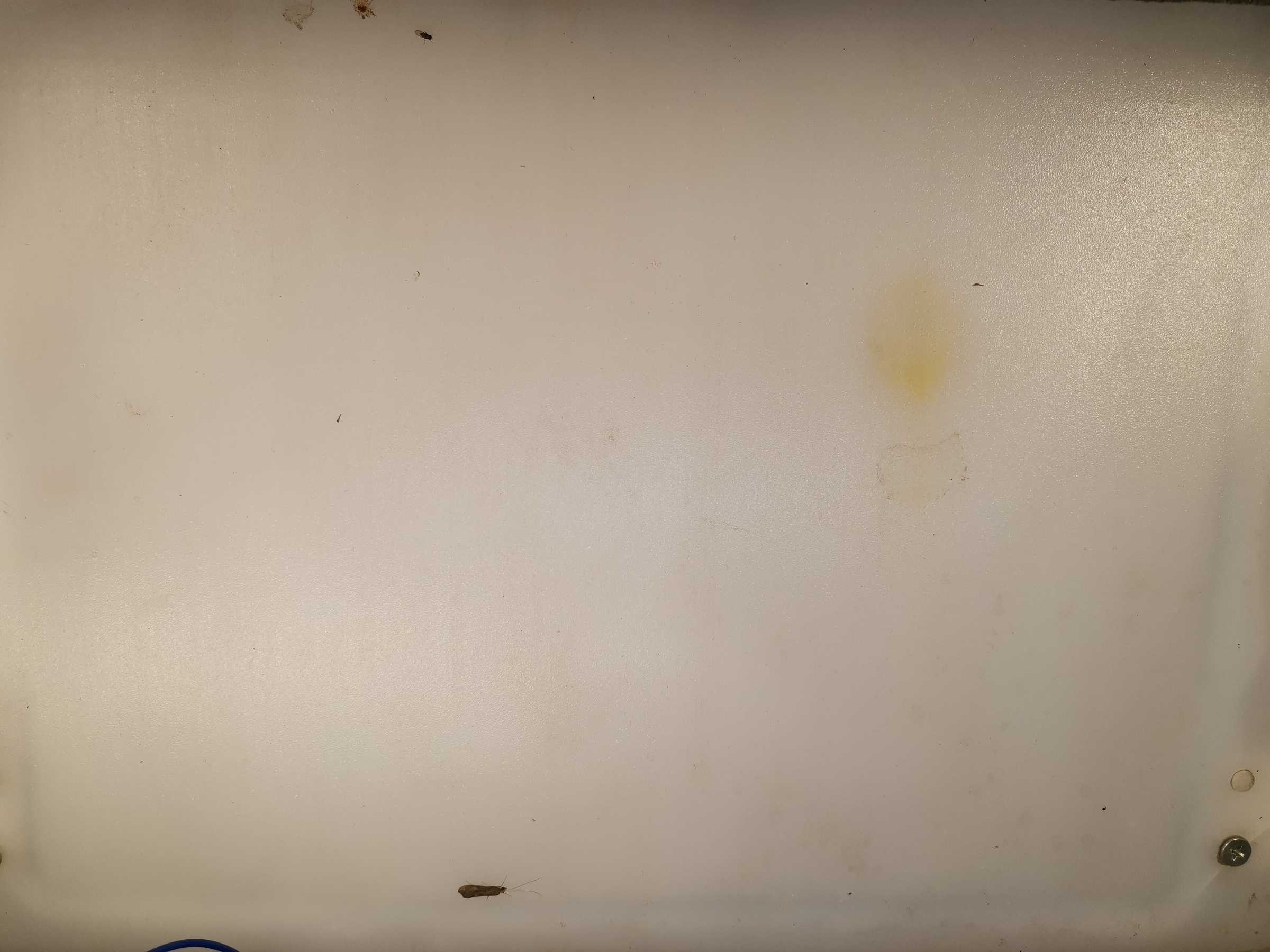 虫情图片20:02:39