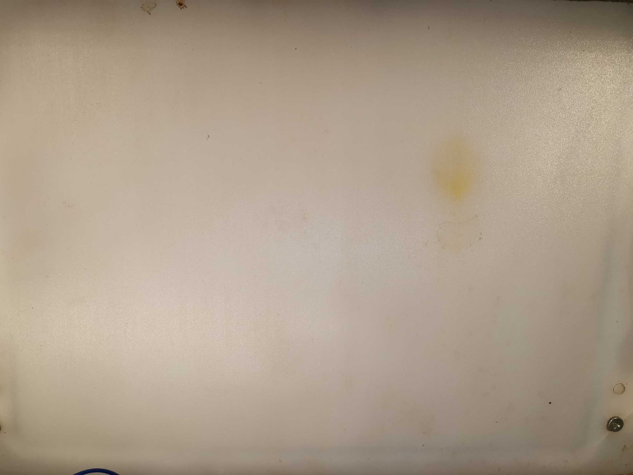 虫情图片21:03:08