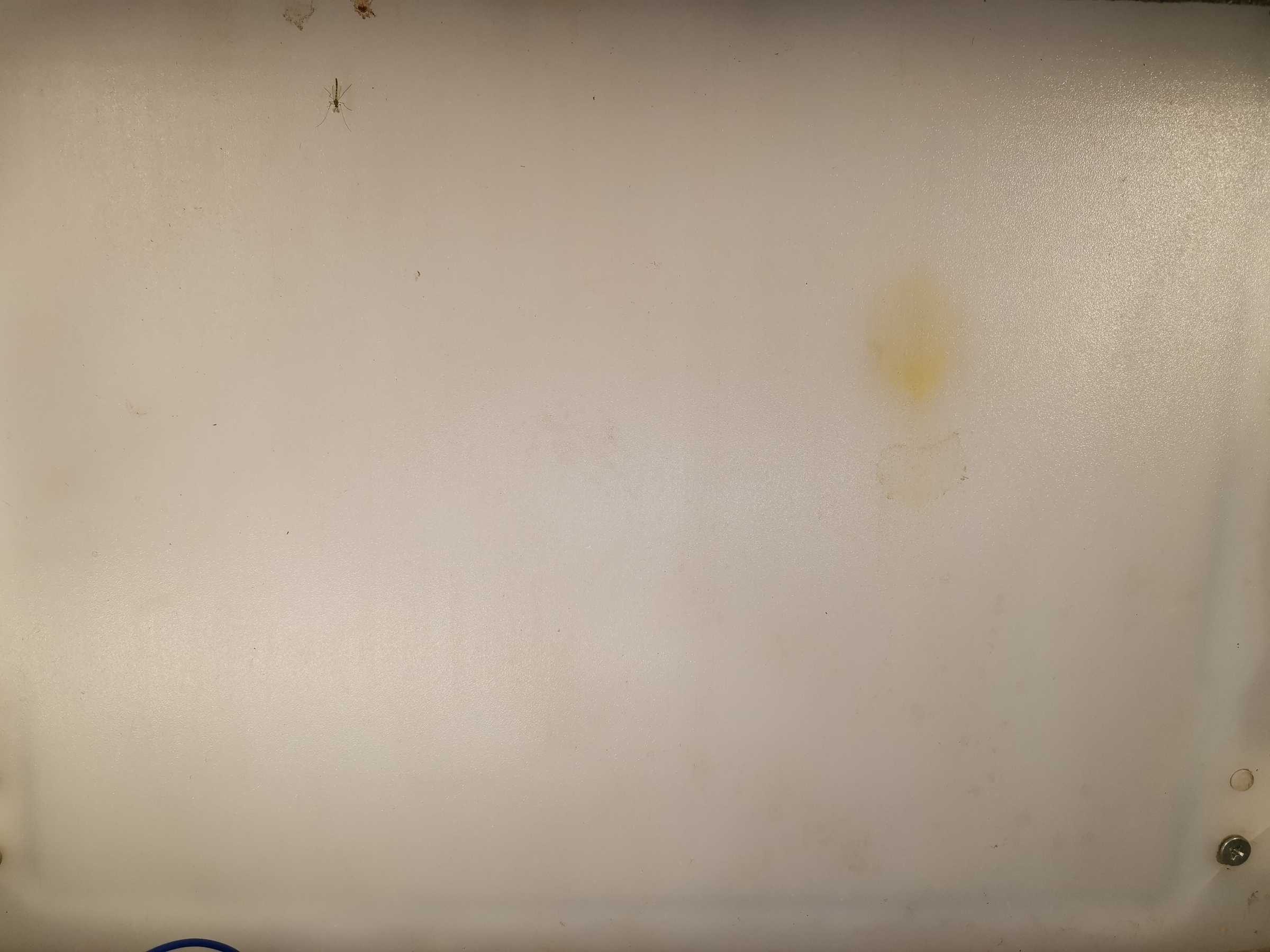 虫情图片21:32:39