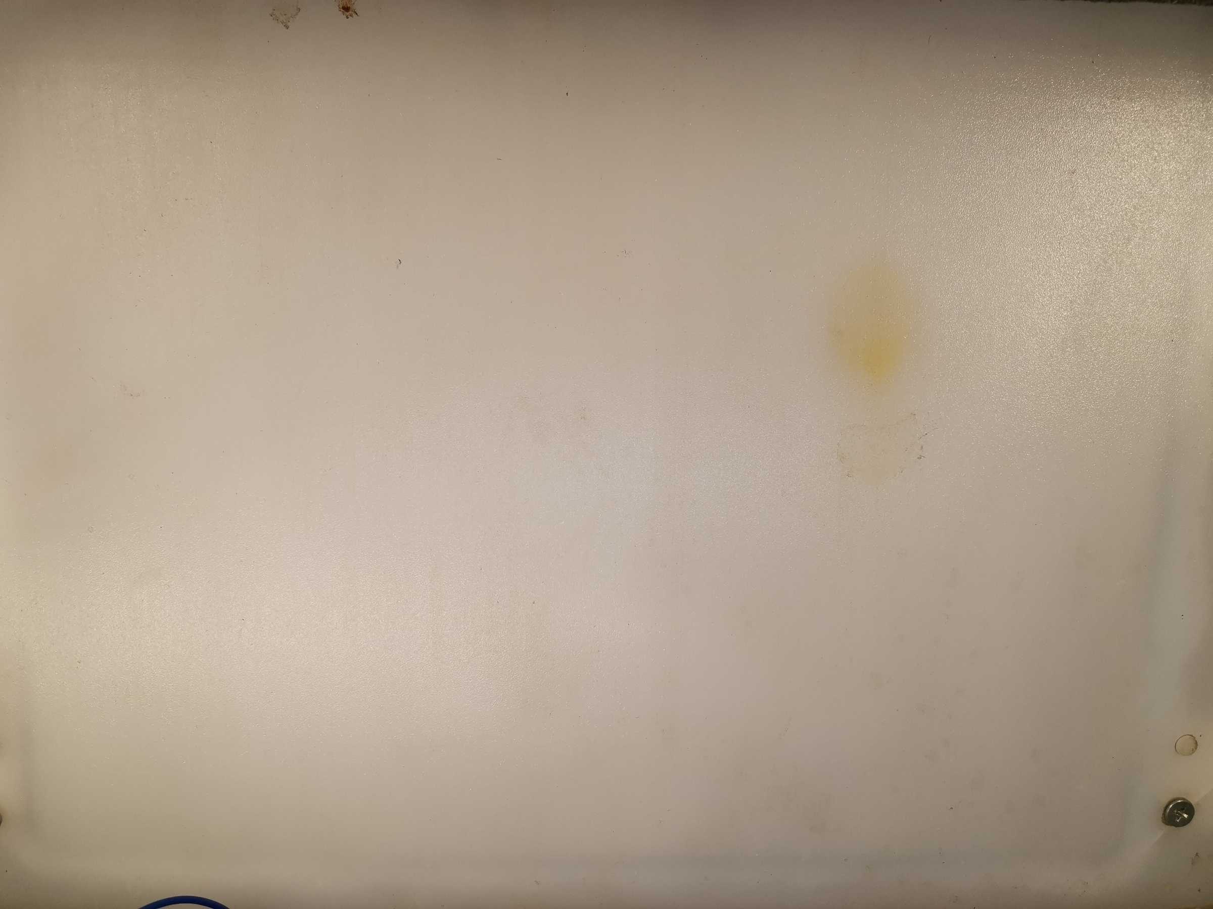 虫情图片23:03:39