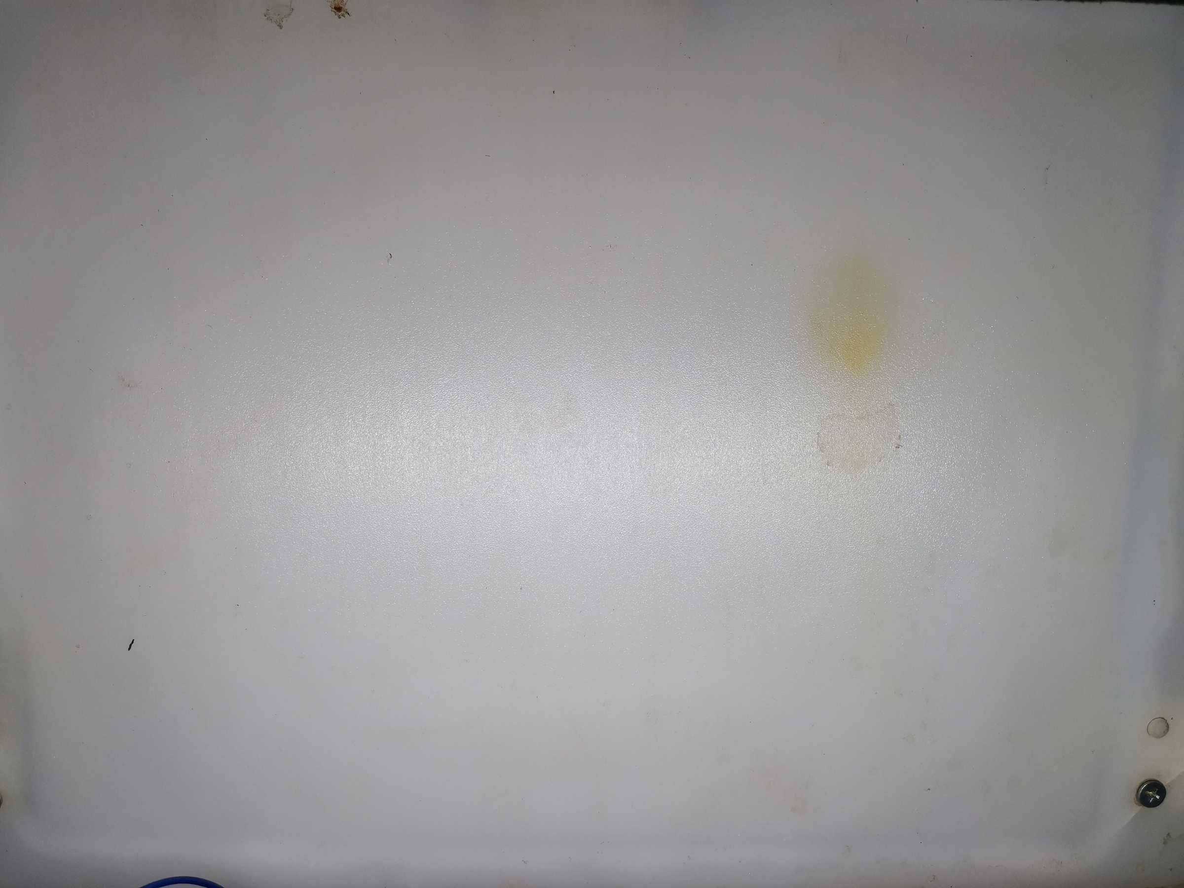 虫情图片19:50:11