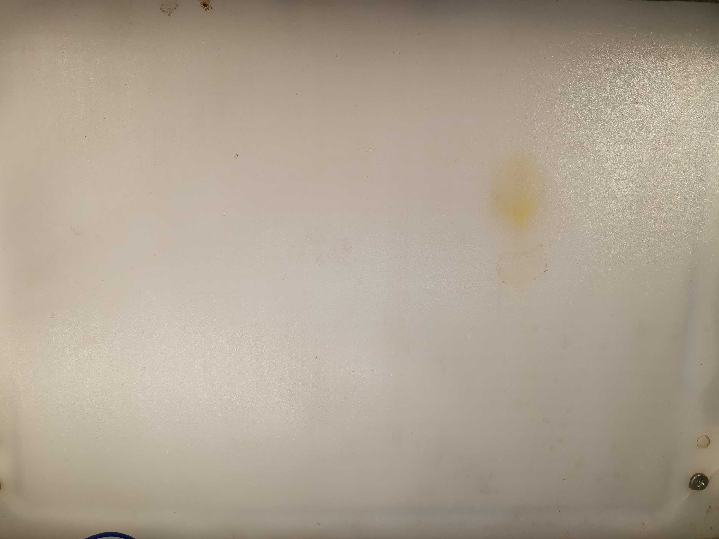 虫情图片20:08:49