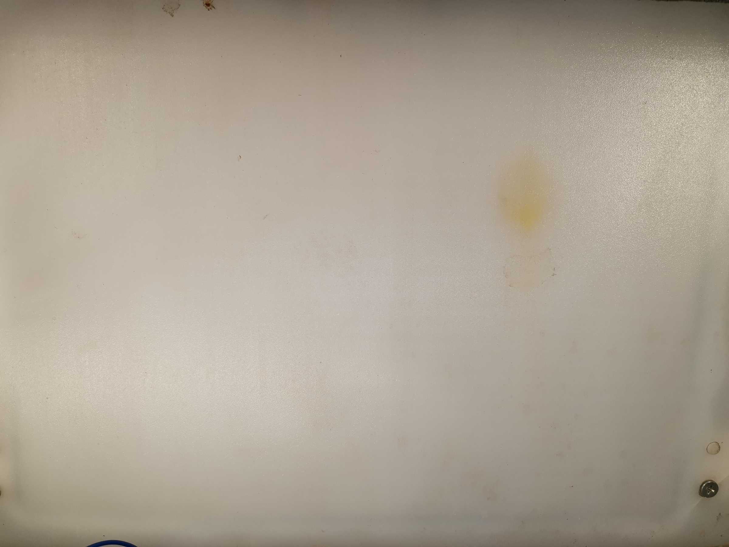 虫情图片20:41:06