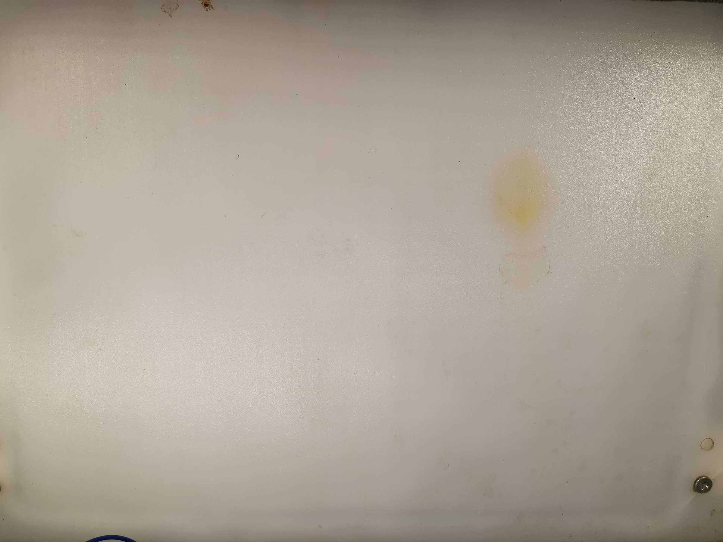 虫情图片21:08:49