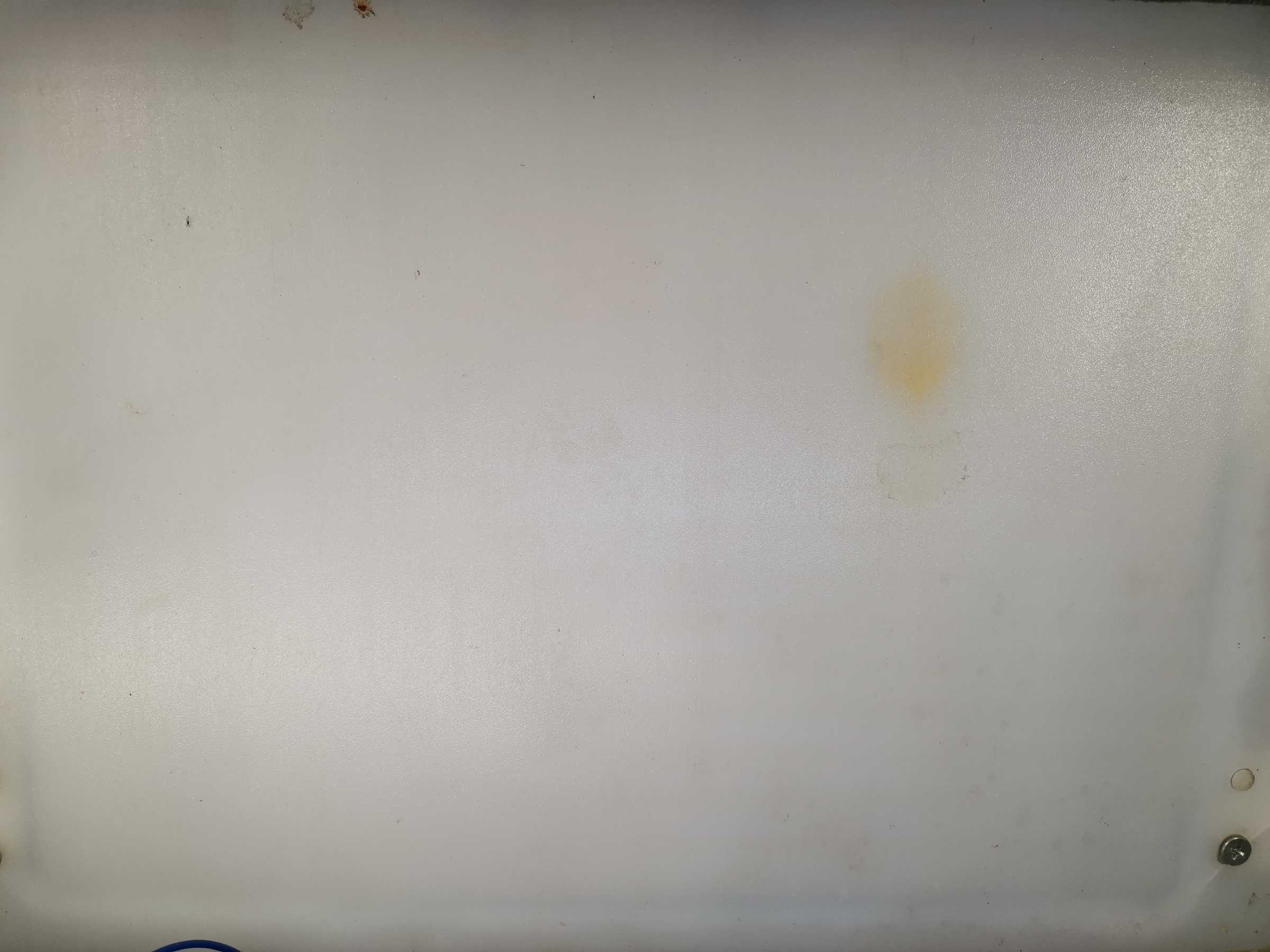 虫情图片23:08:31