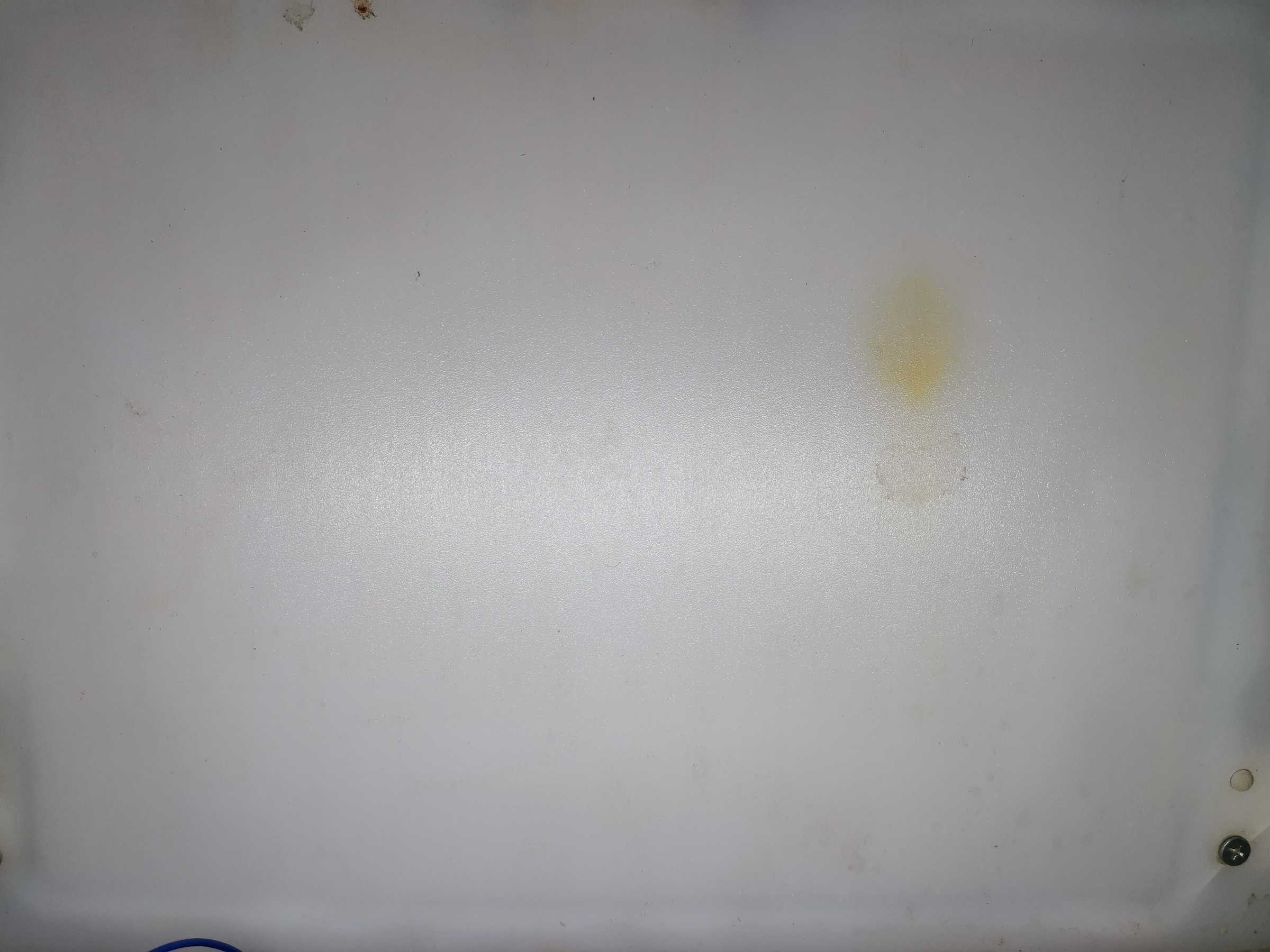 虫情图片19:04:03