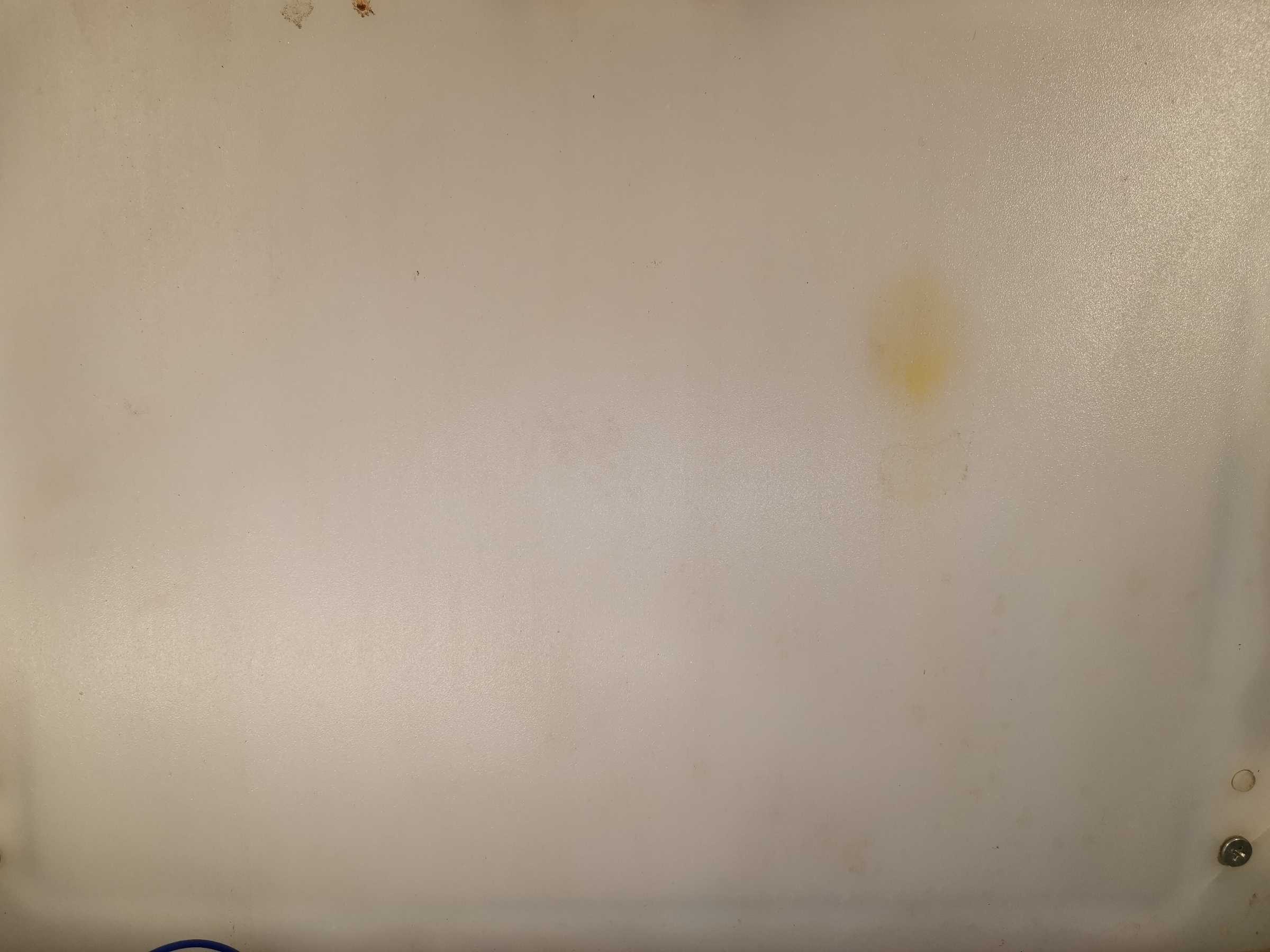 虫情图片19:34:41