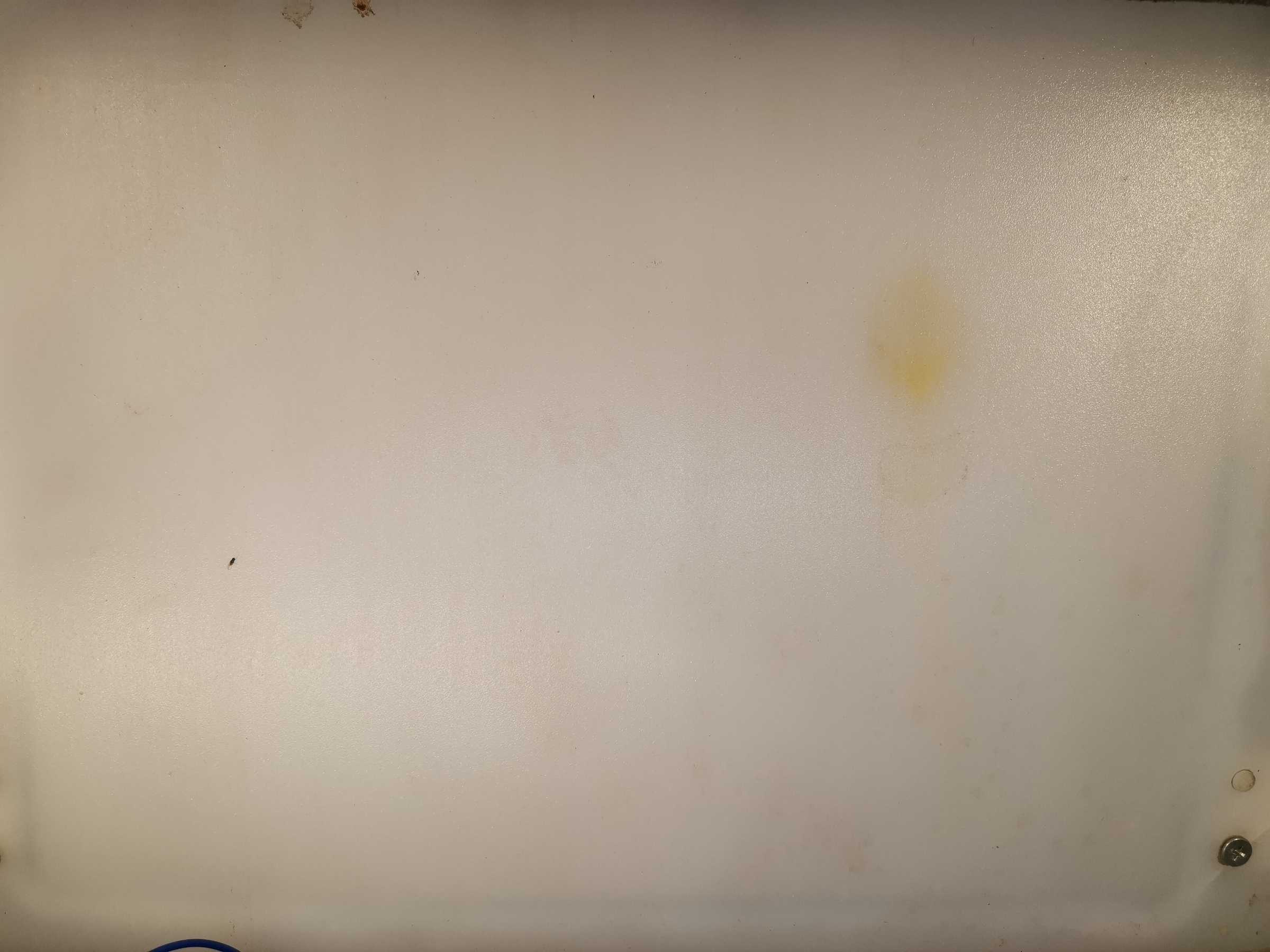 虫情图片20:03:15