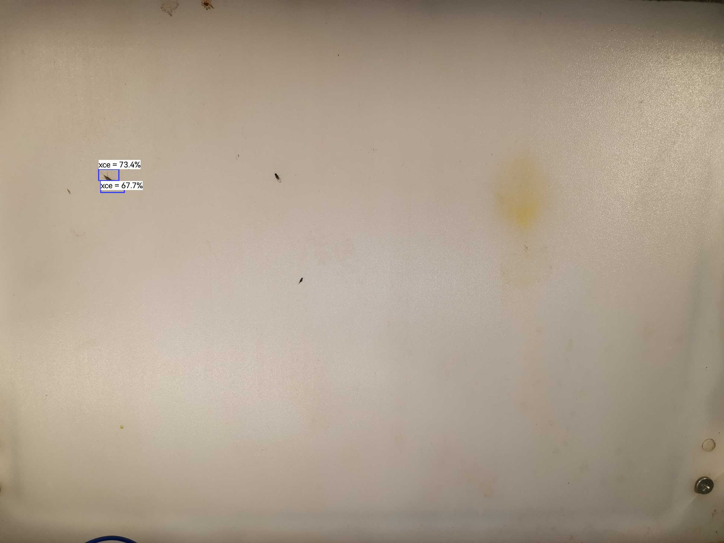 虫情图片20:32:43