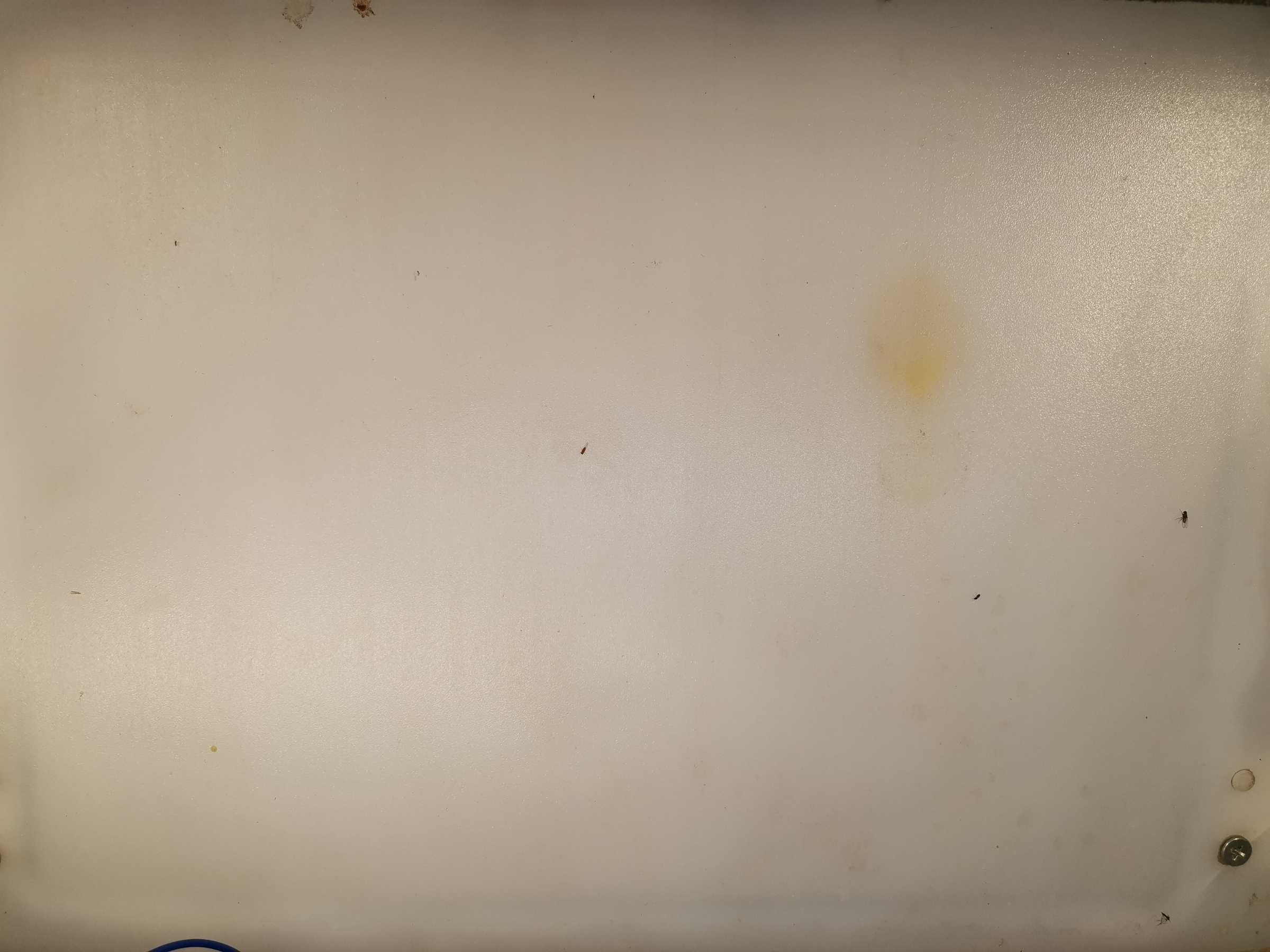 虫情图片21:02:54