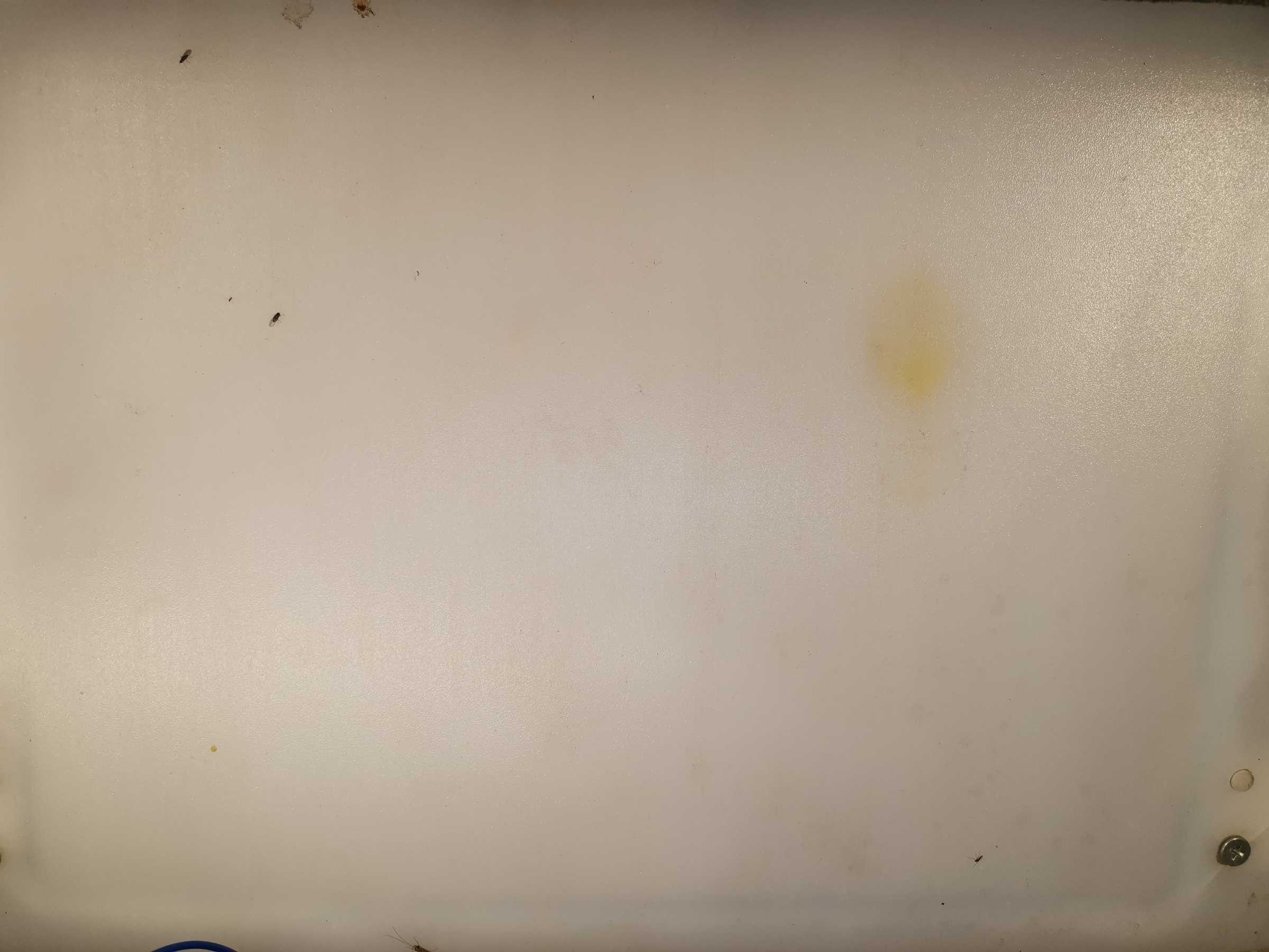 虫情图片21:41:36