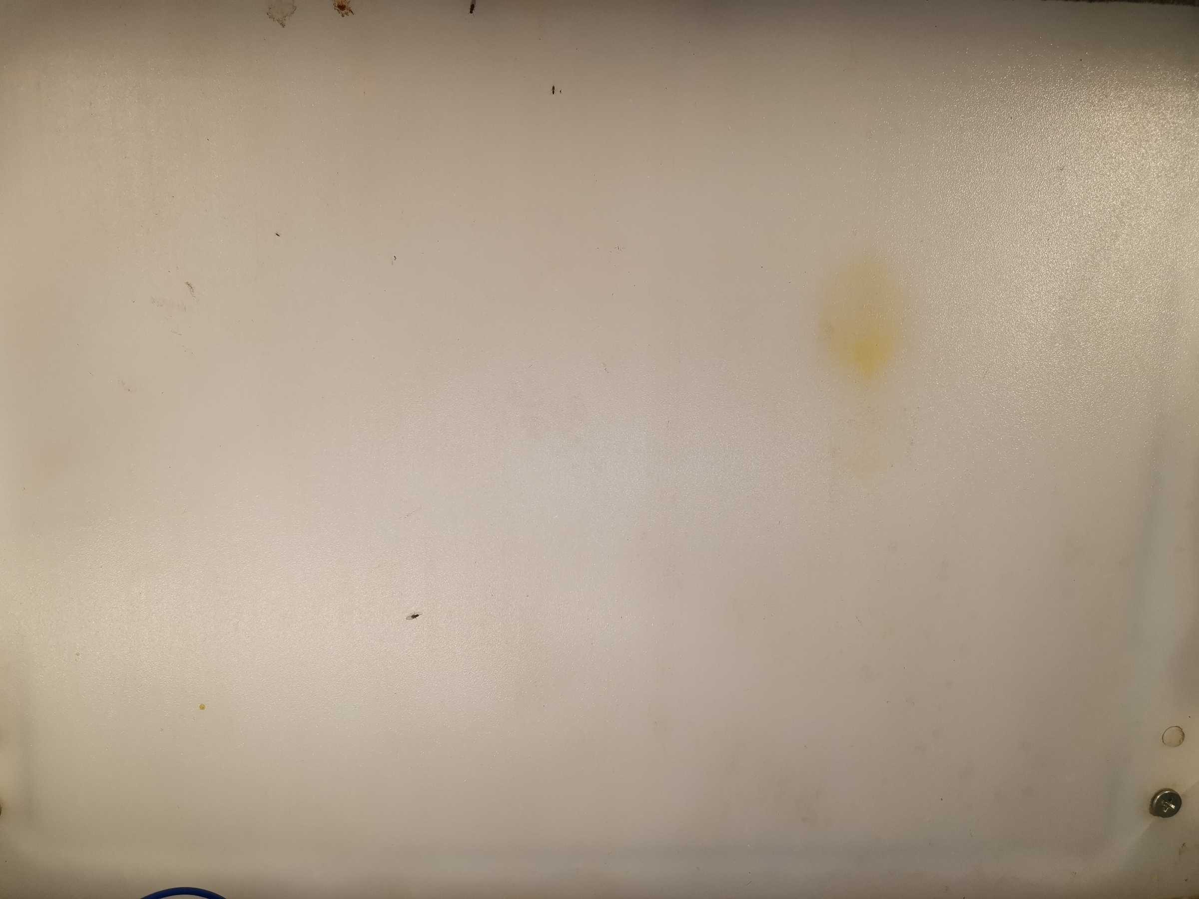 虫情图片22:02:40