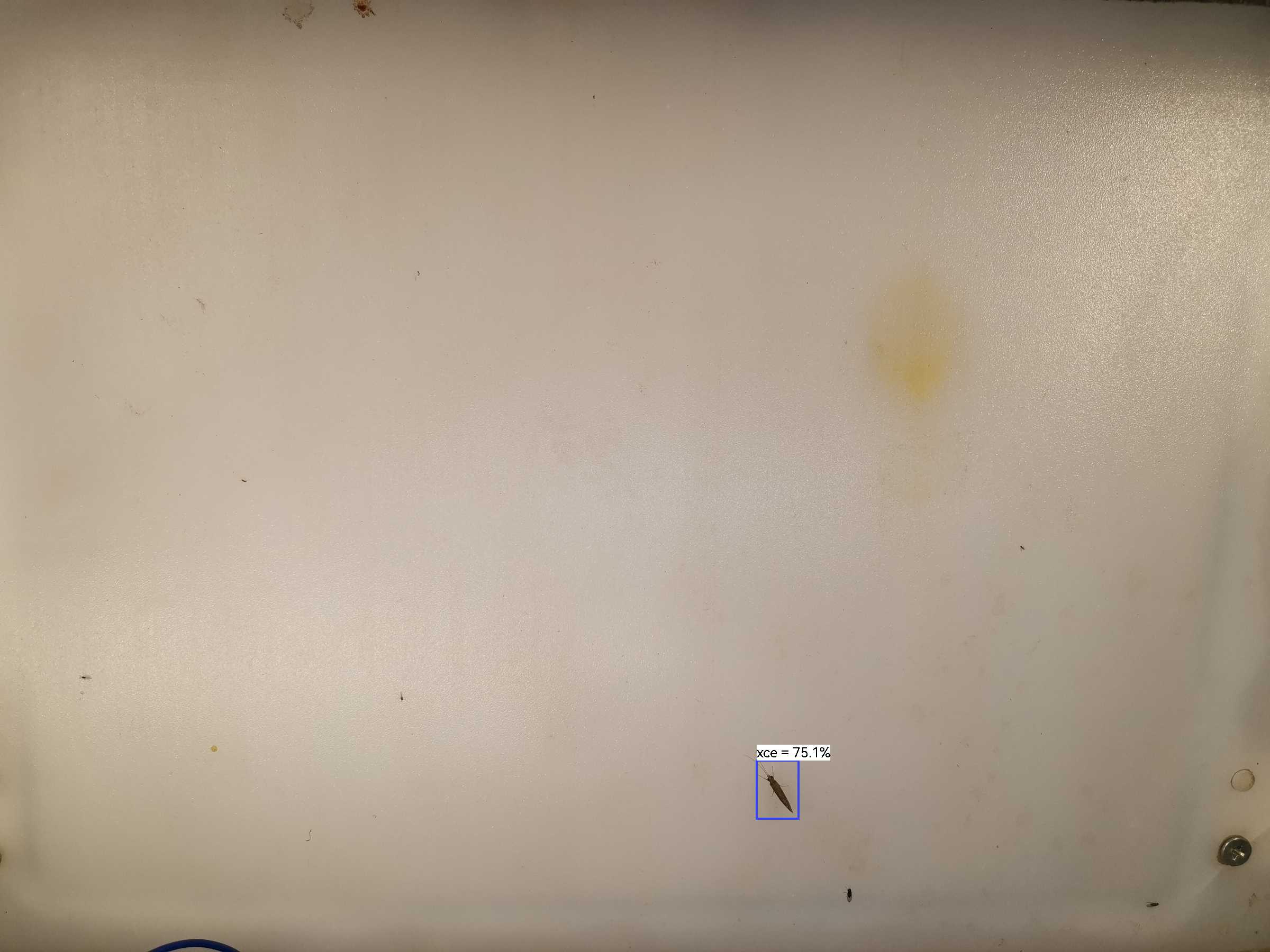 虫情图片22:32:45