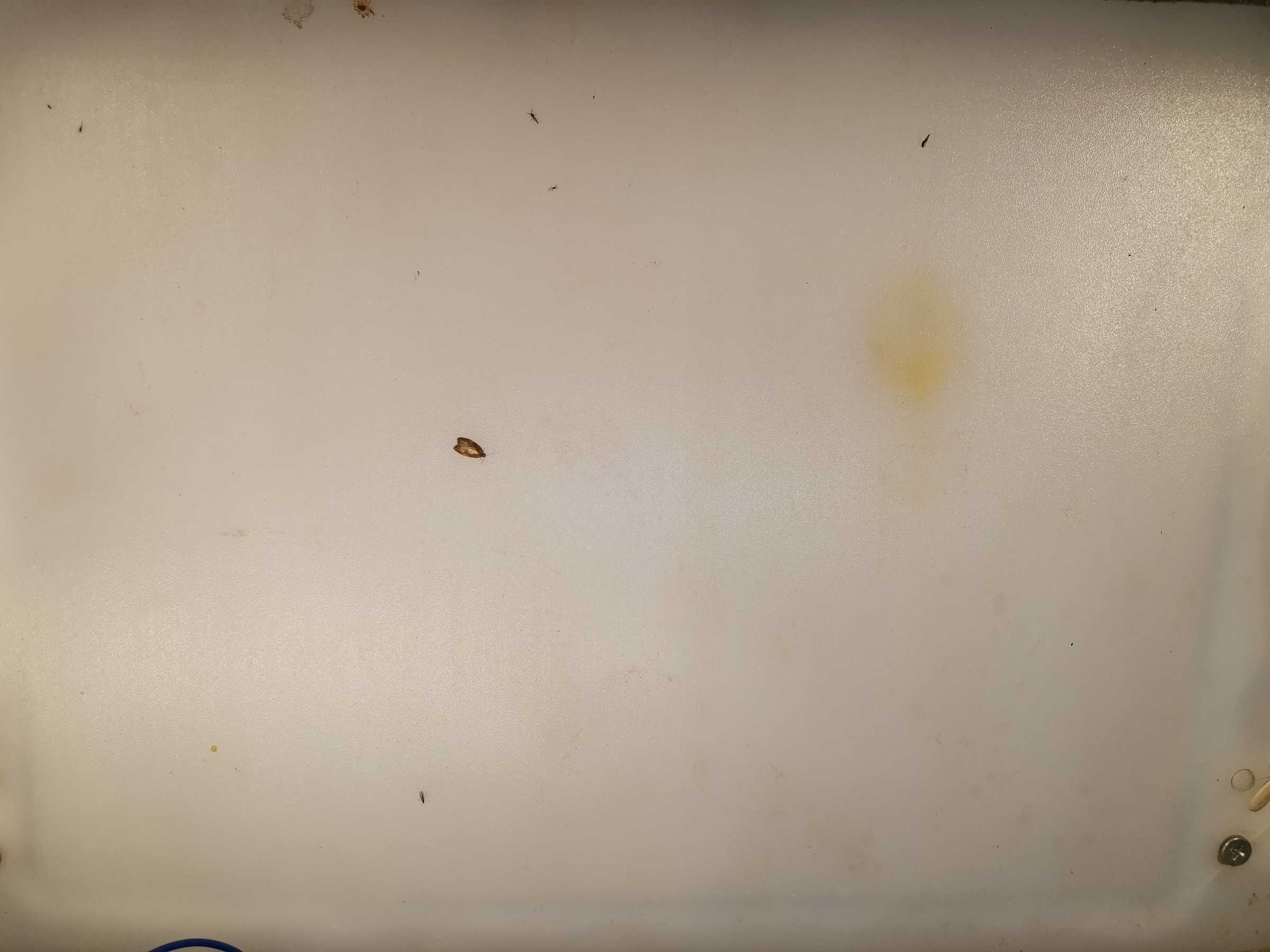 虫情图片23:02:58