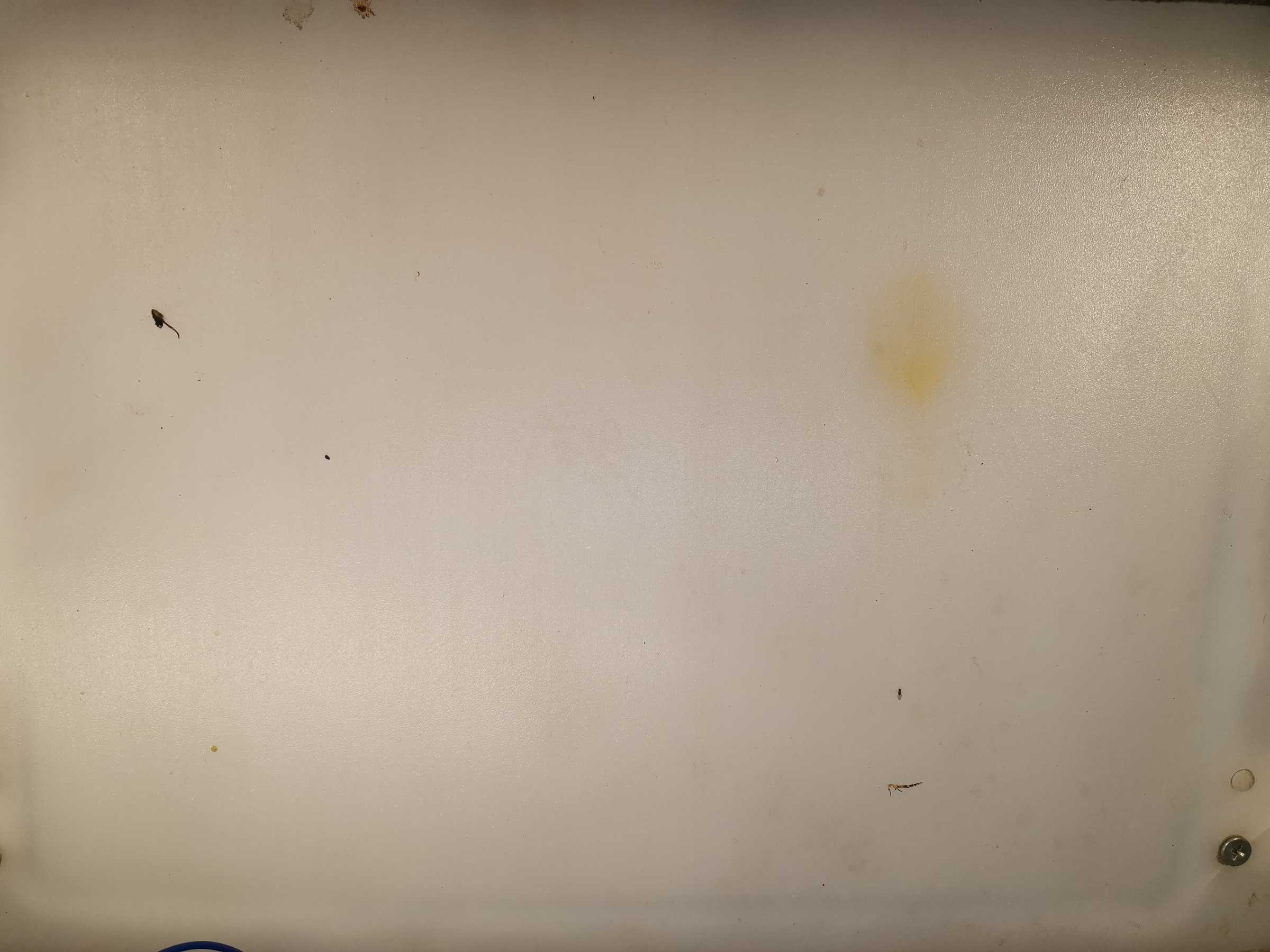 虫情图片19:35:46