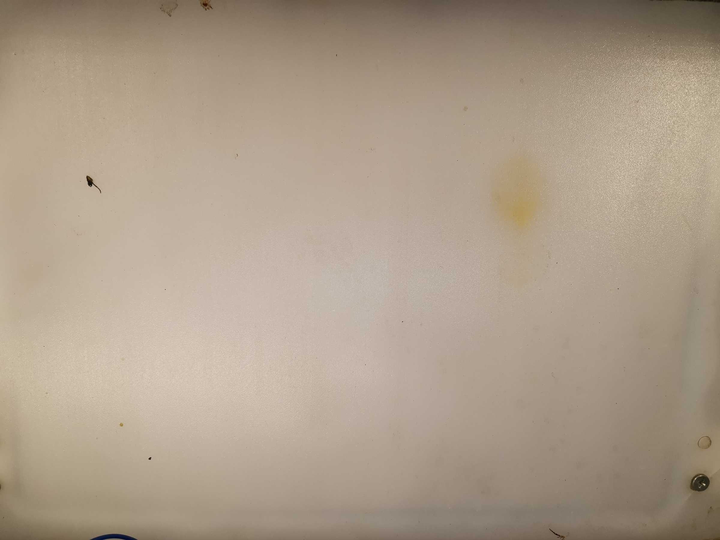 虫情图片20:02:49