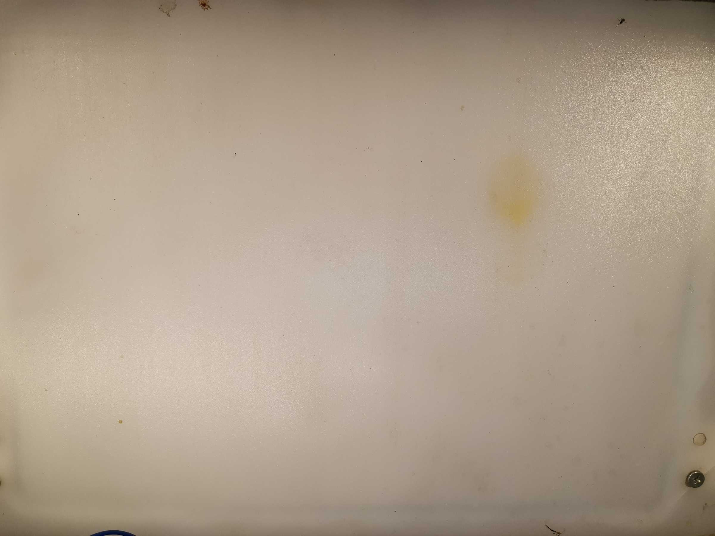 虫情图片20:32:54