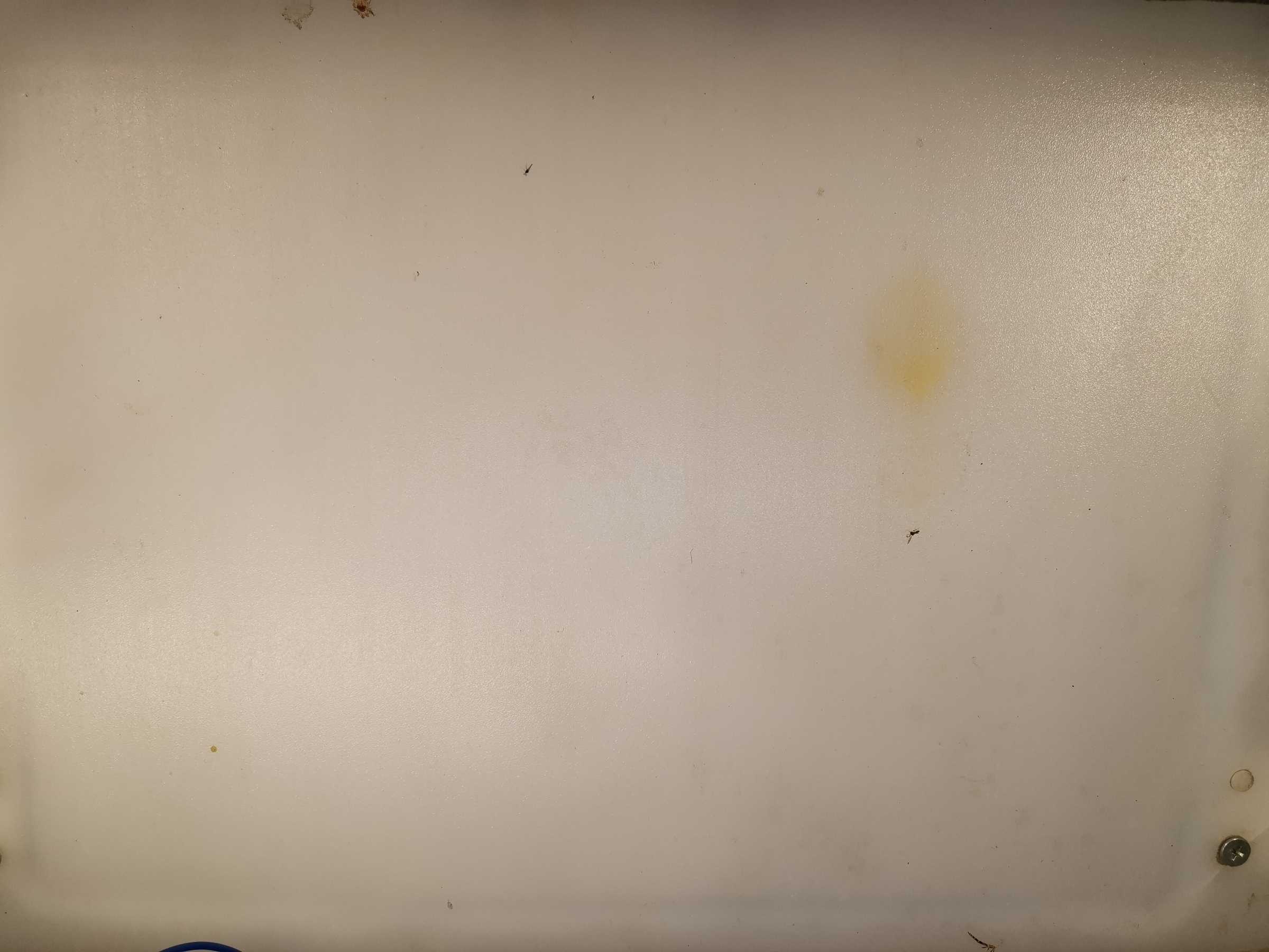 虫情图片21:03:10