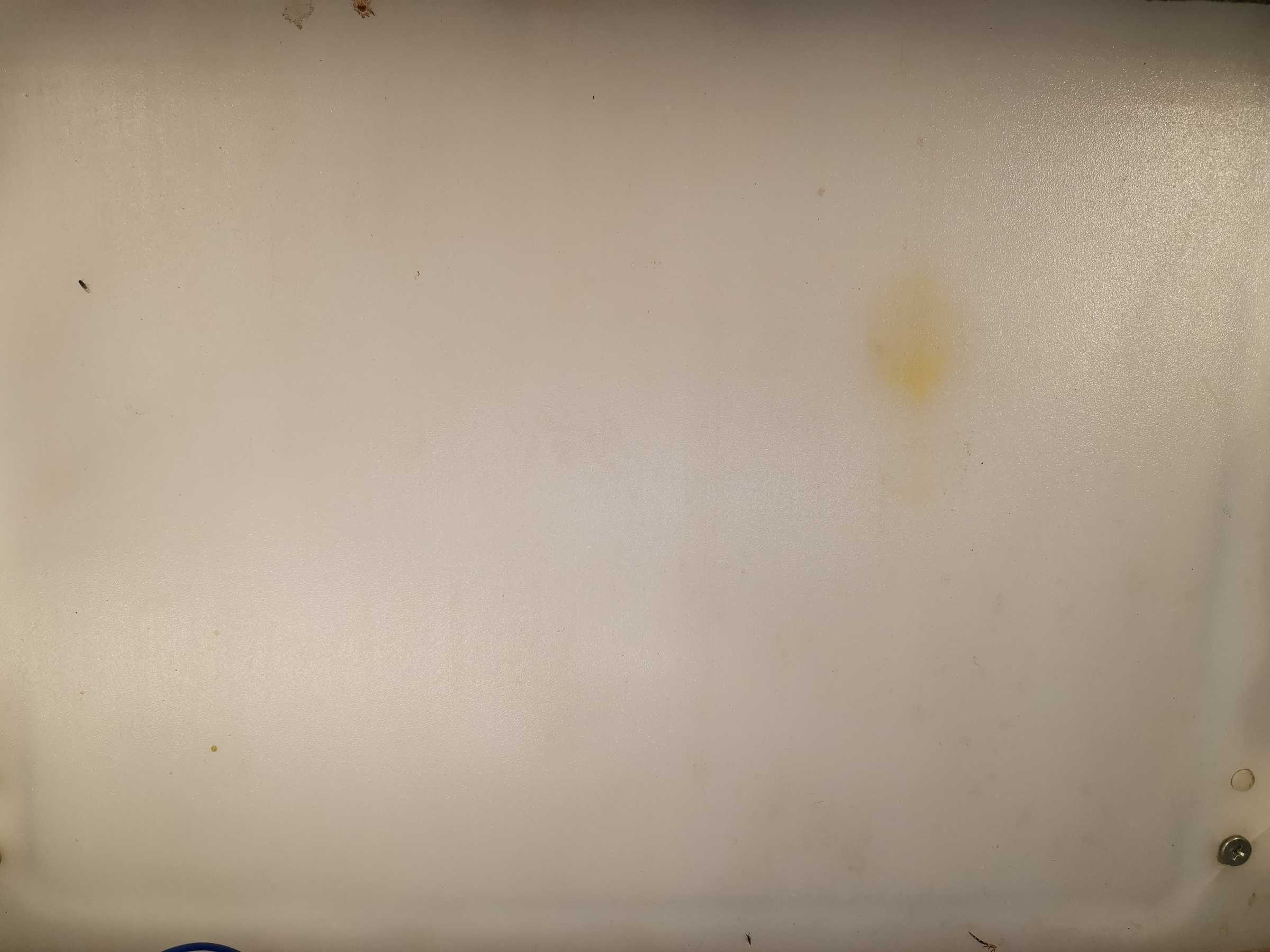 虫情图片21:32:40