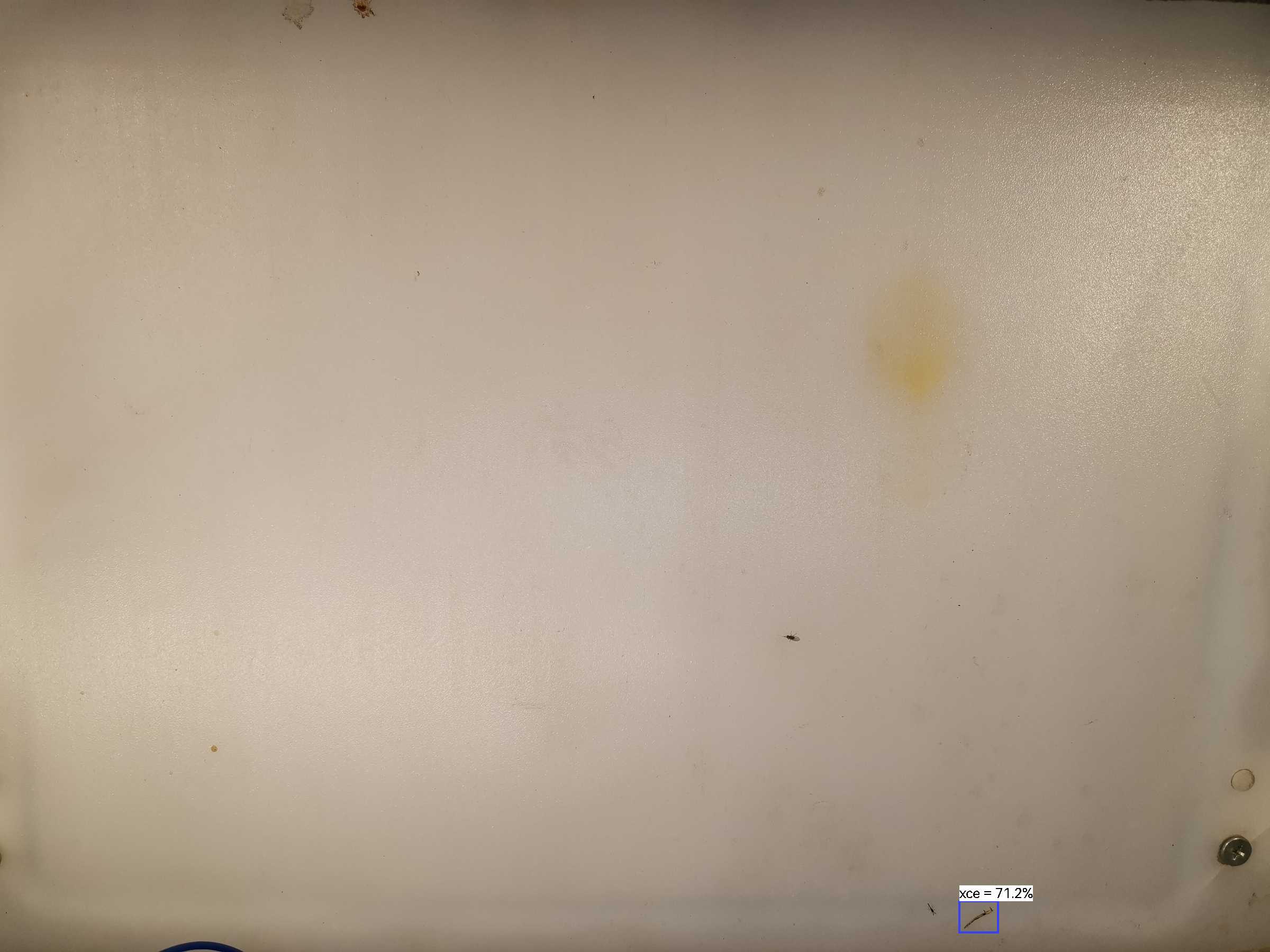 虫情图片22:02:42