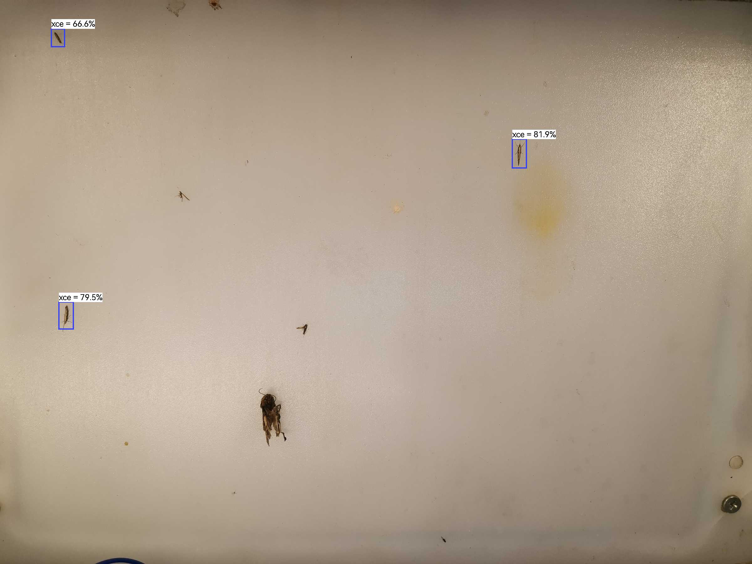 虫情图片21:07:39