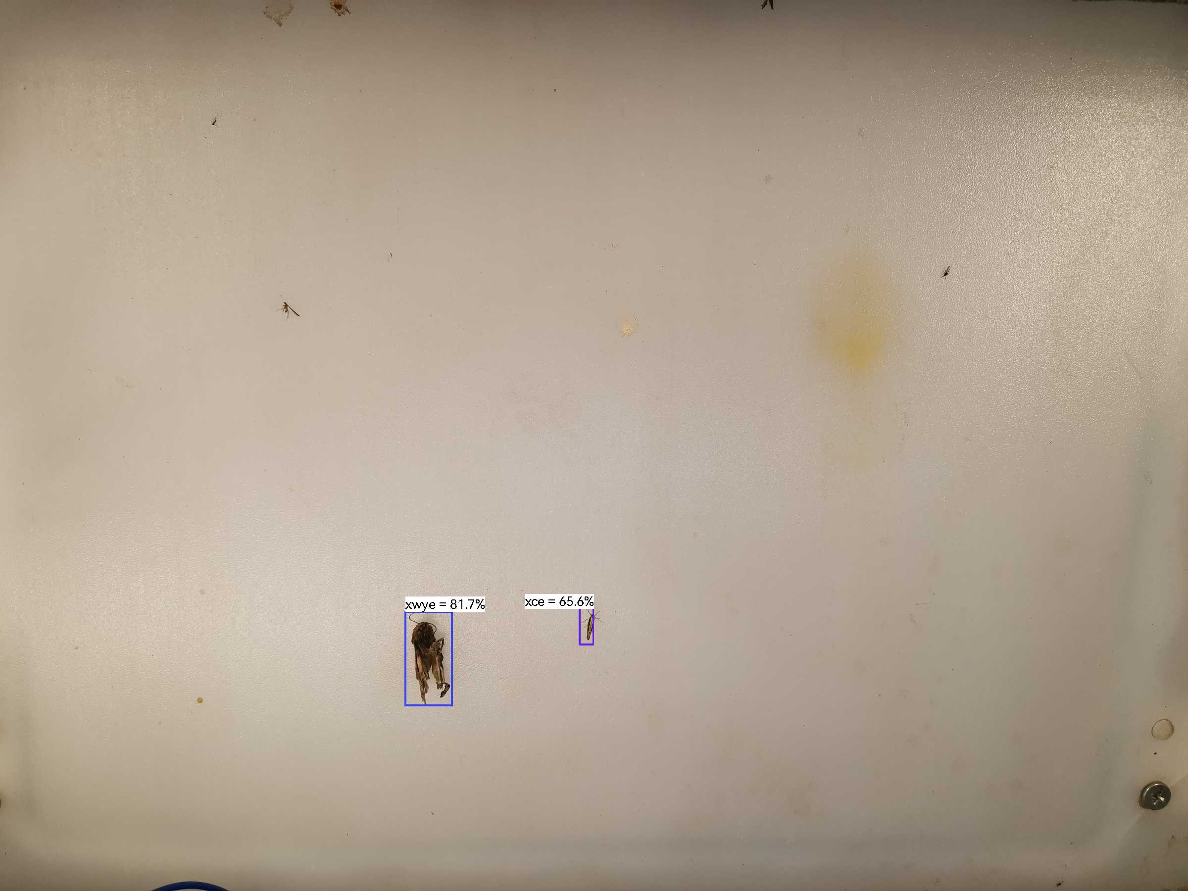 虫情图片22:12:35