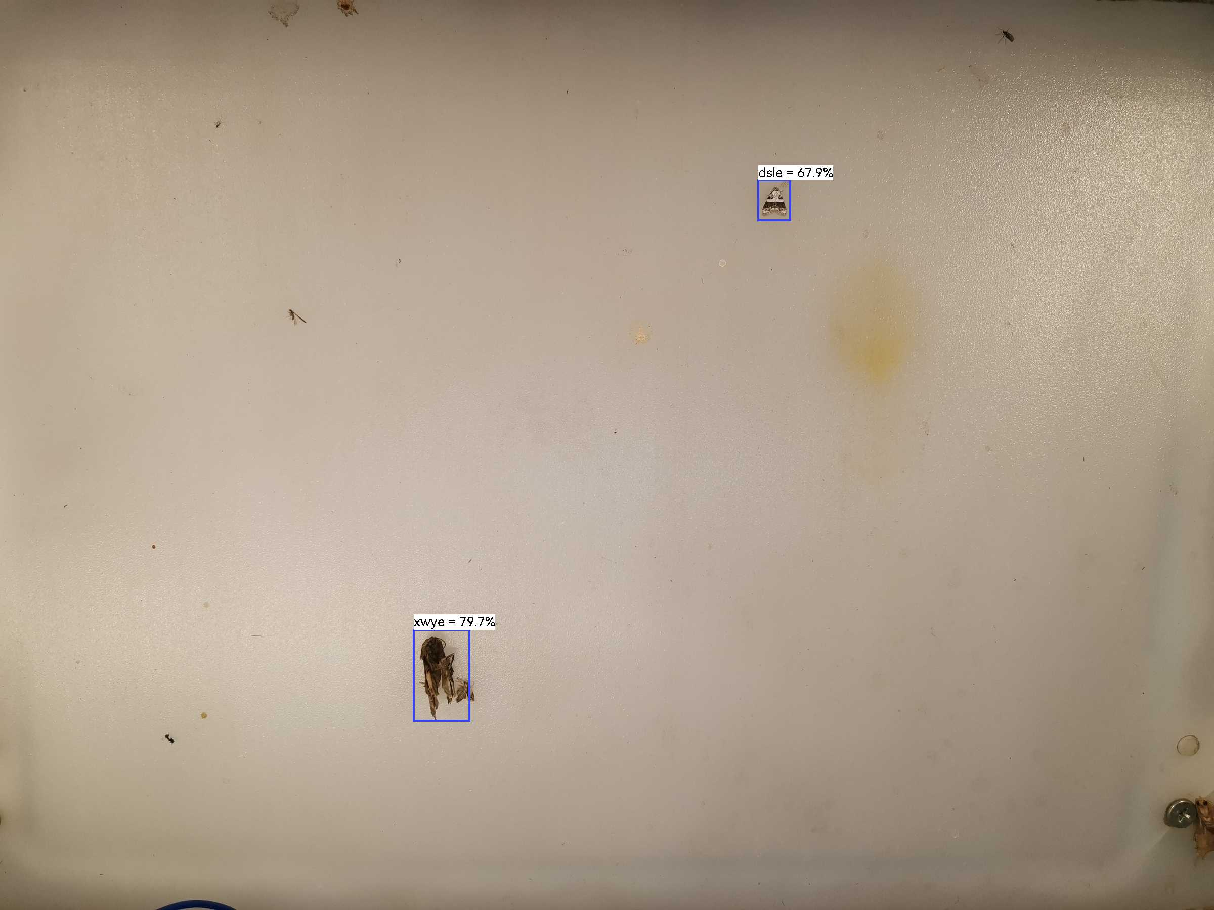 虫情图片20:32:39