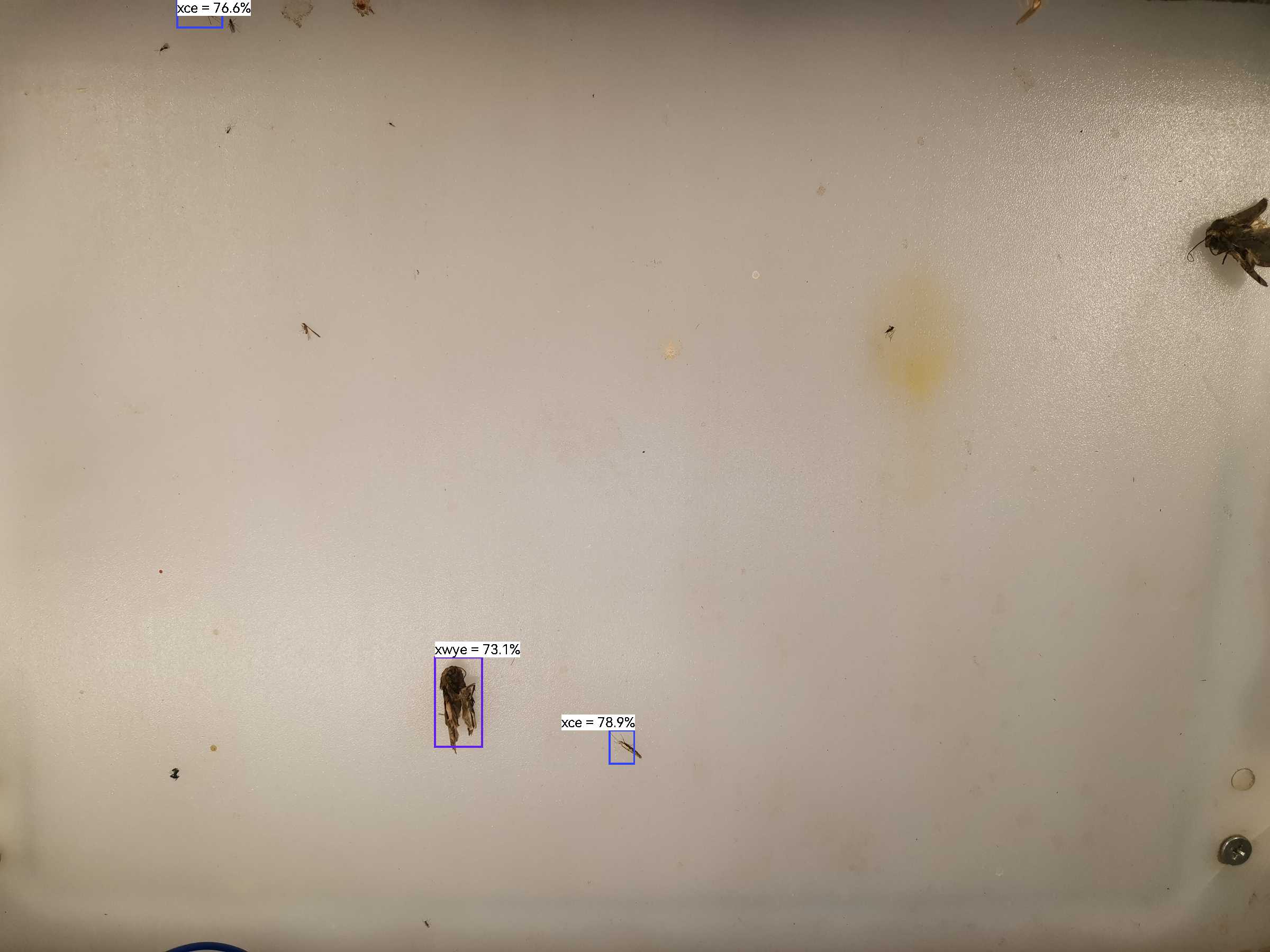 虫情图片21:35:49