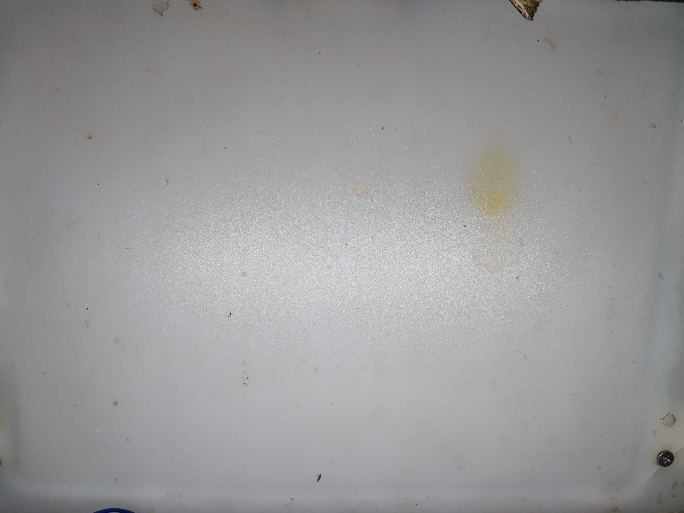 虫情图片19:09:42