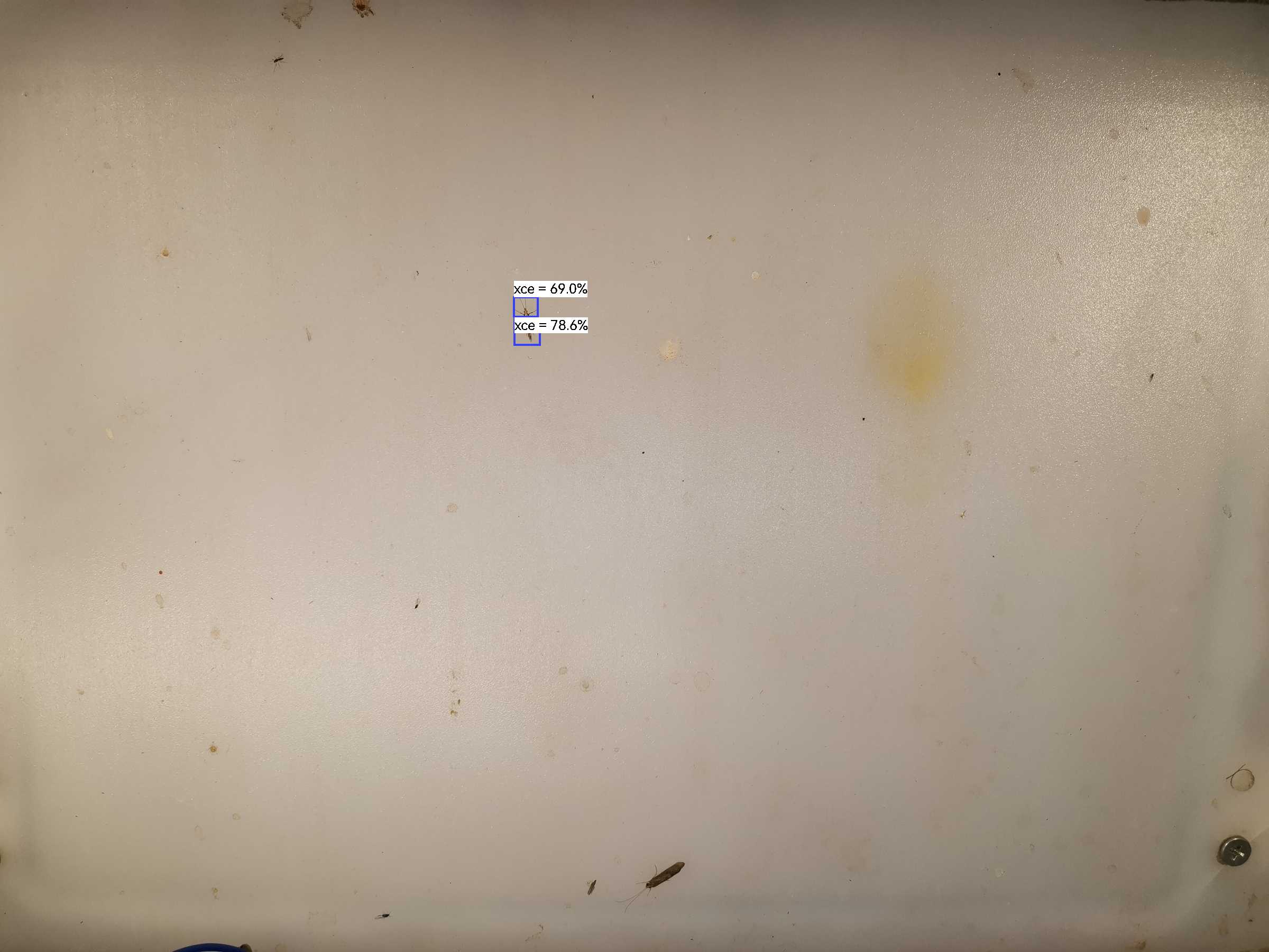 虫情图片19:50:03