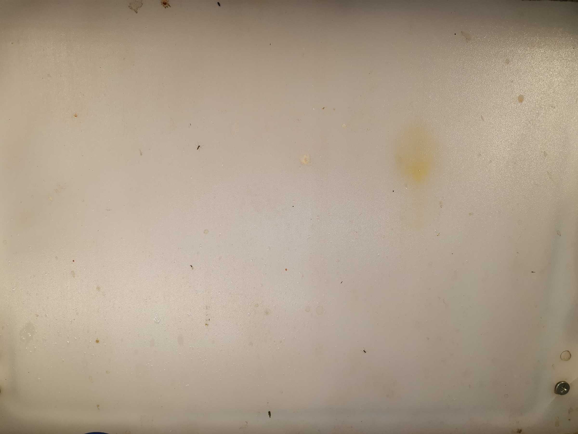 虫情图片20:13:41