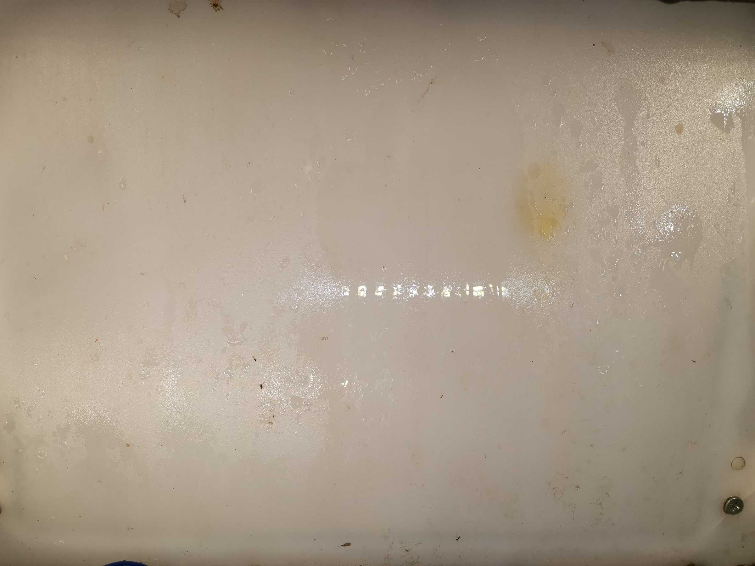 虫情图片21:01:07