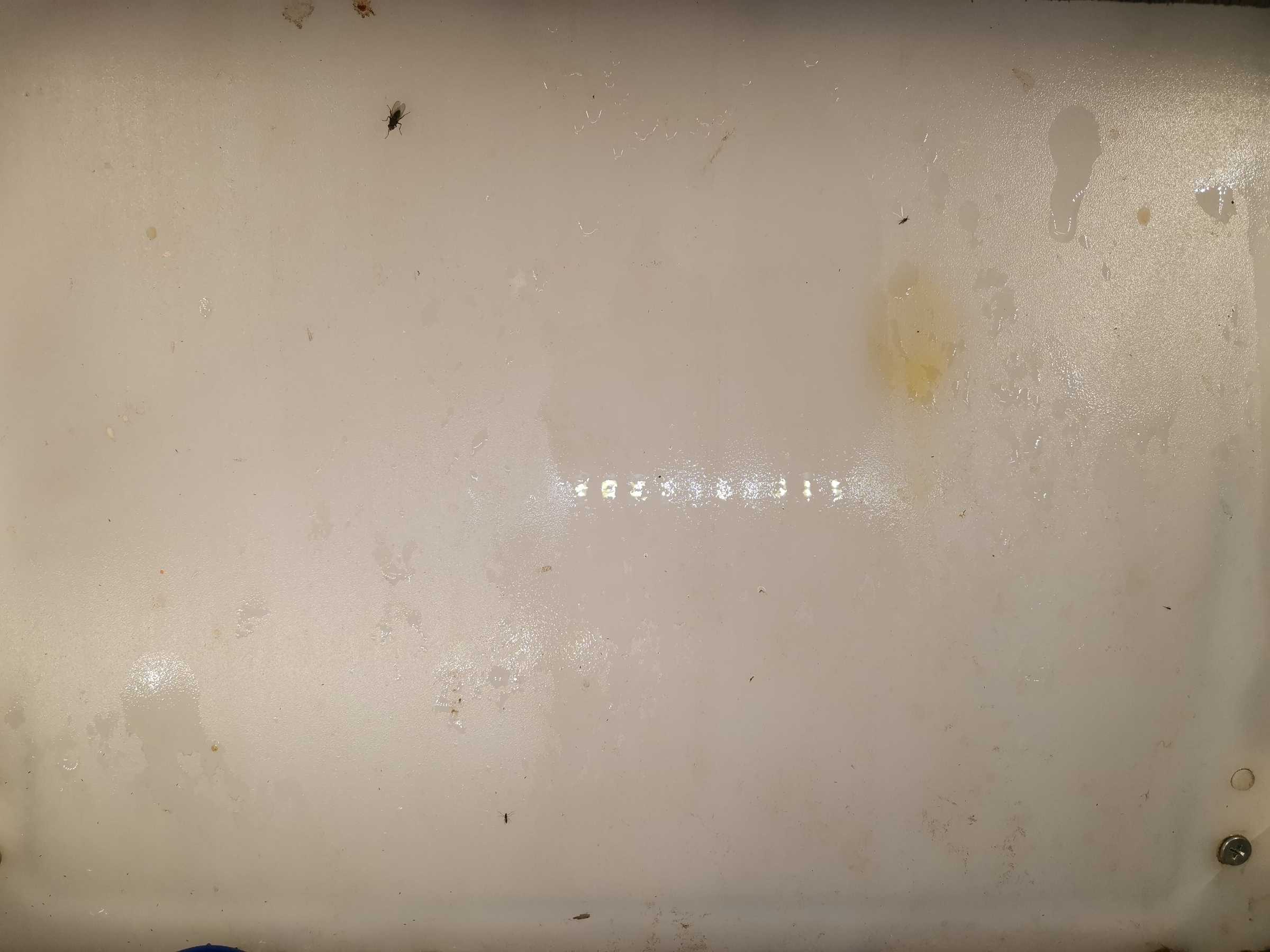 虫情图片21:08:38