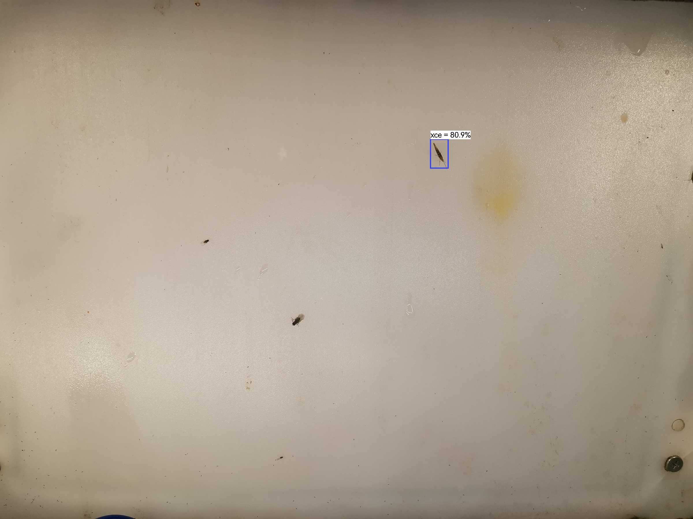 虫情图片22:08:39