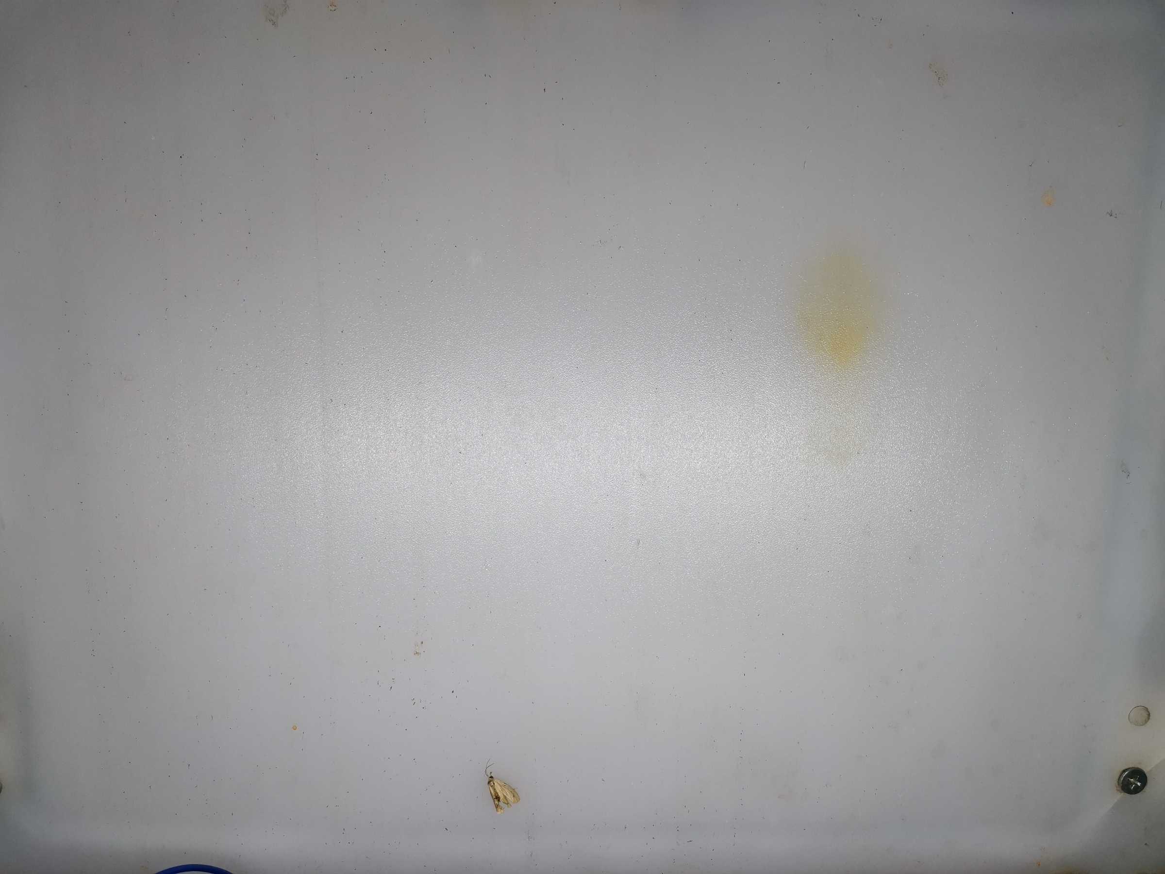 虫情图片19:02:54