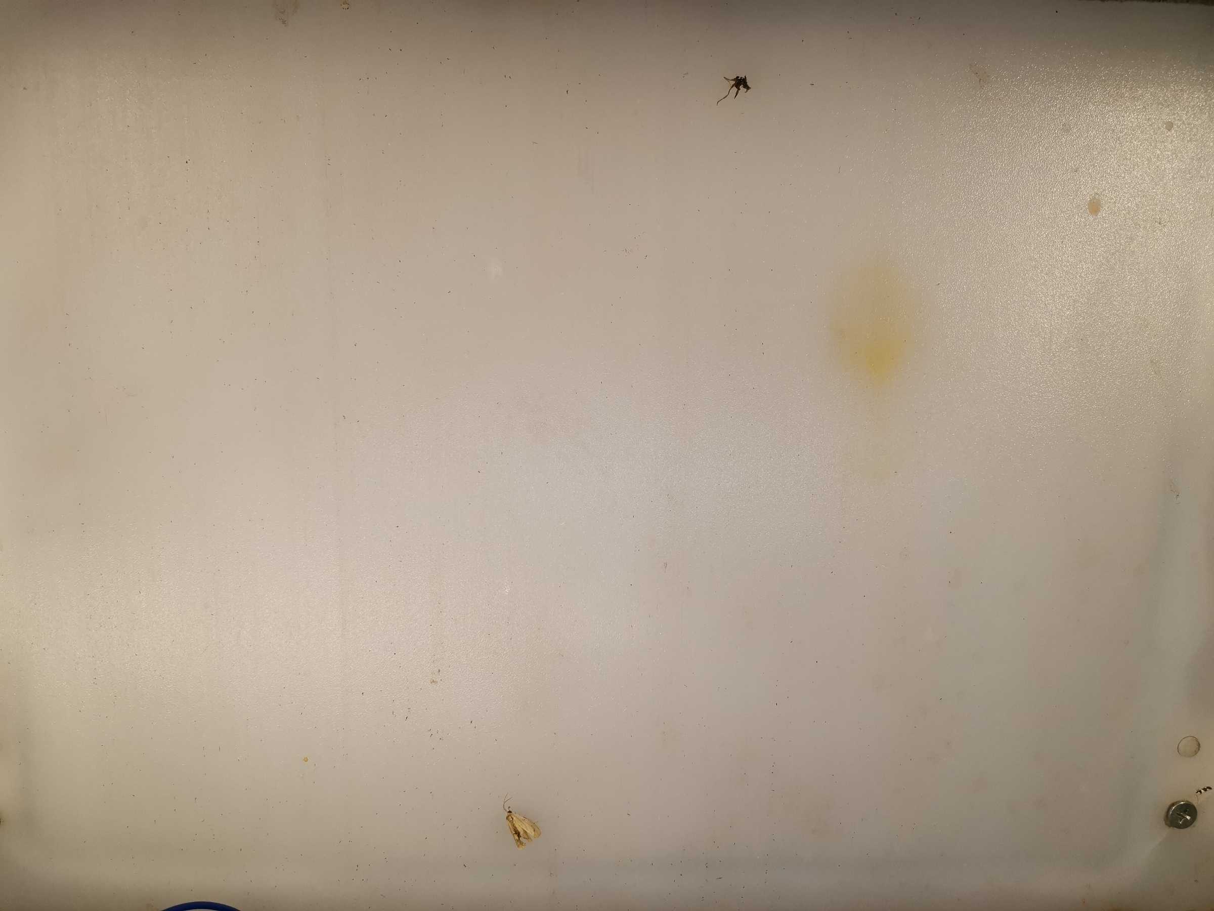 虫情图片19:35:47