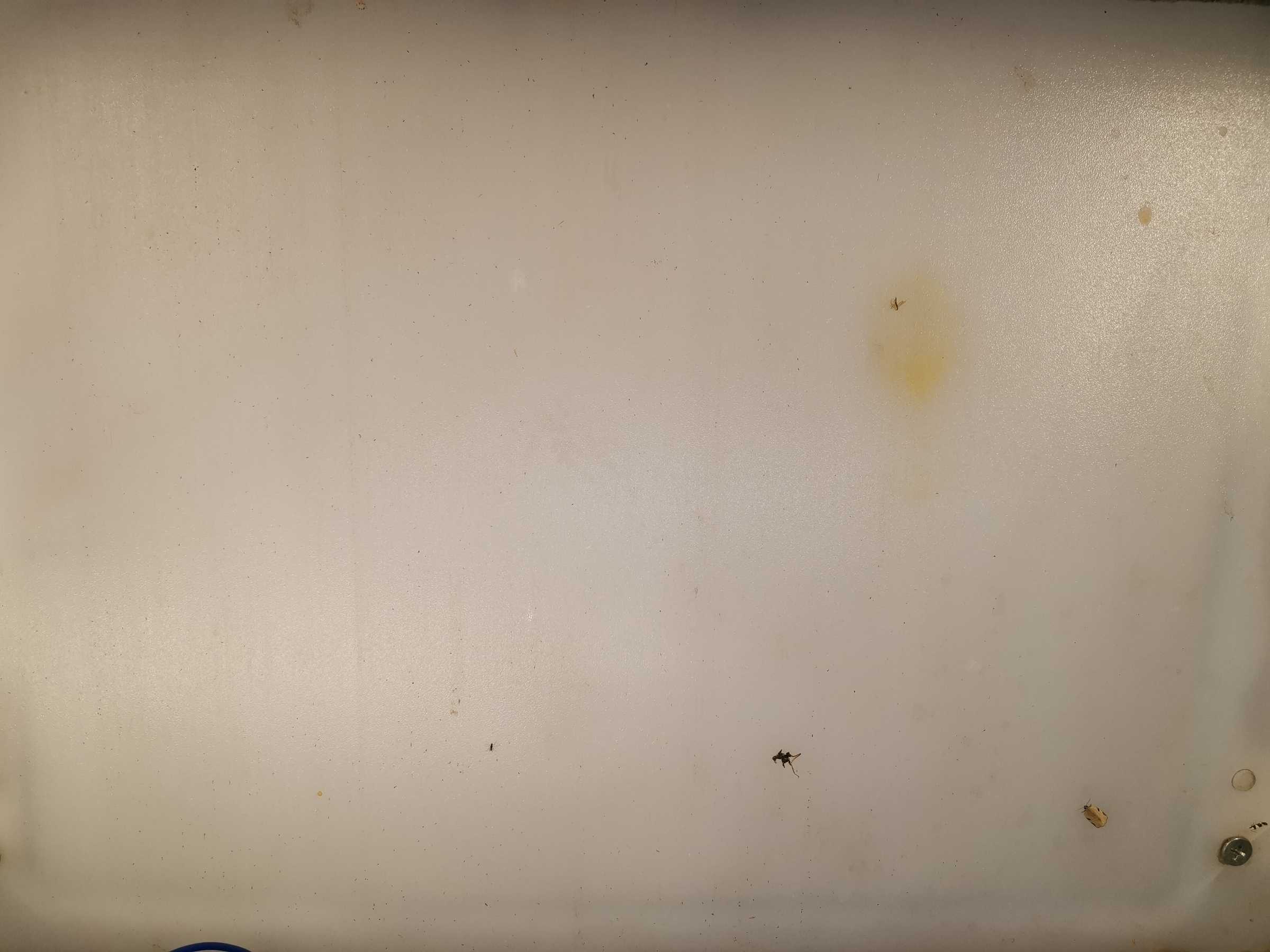 虫情图片20:02:37