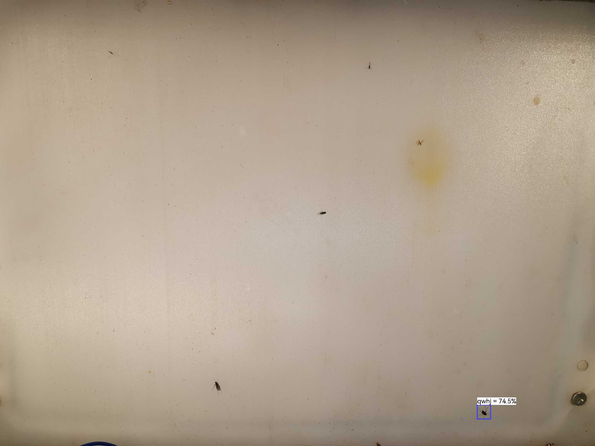 虫情图片20:32:51