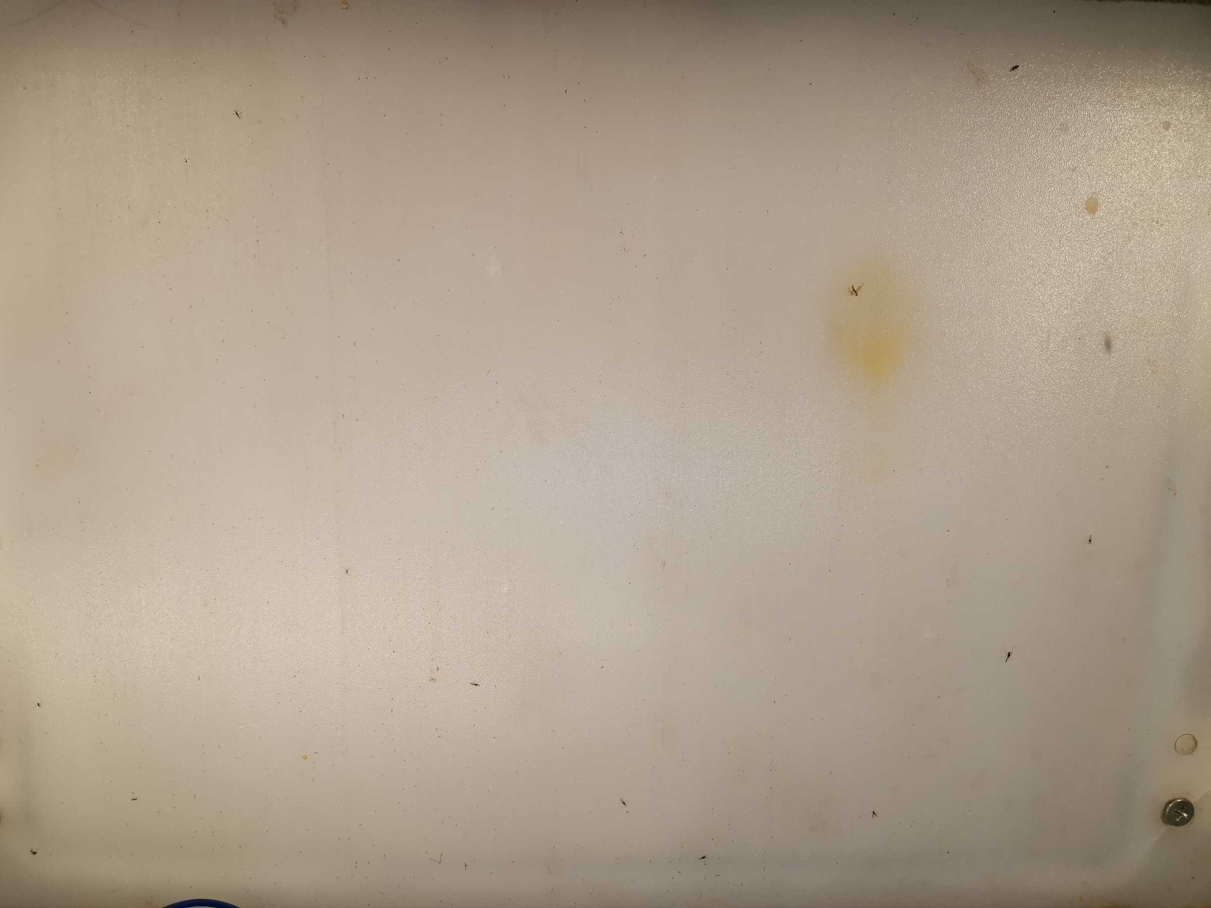 虫情图片21:03:06