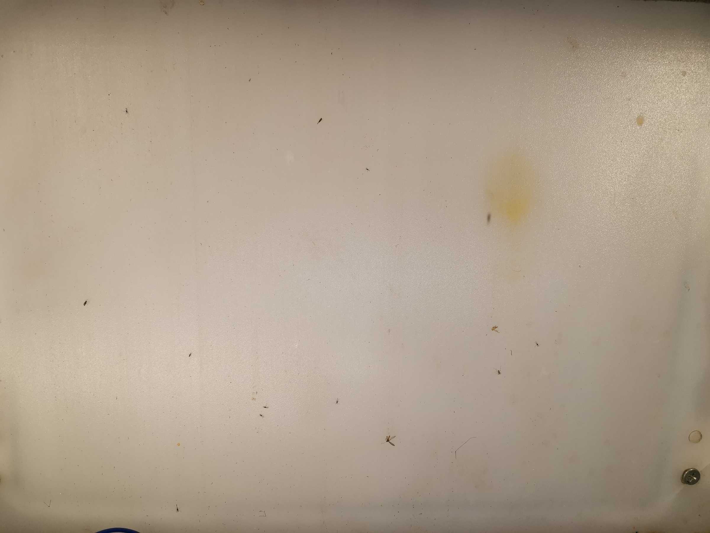 虫情图片21:33:26