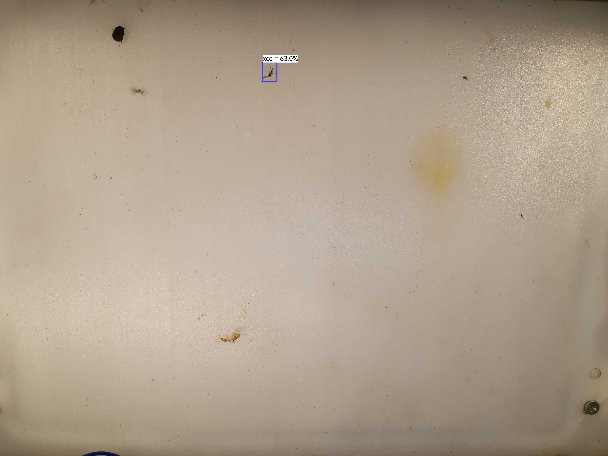 虫情图片19:50:08