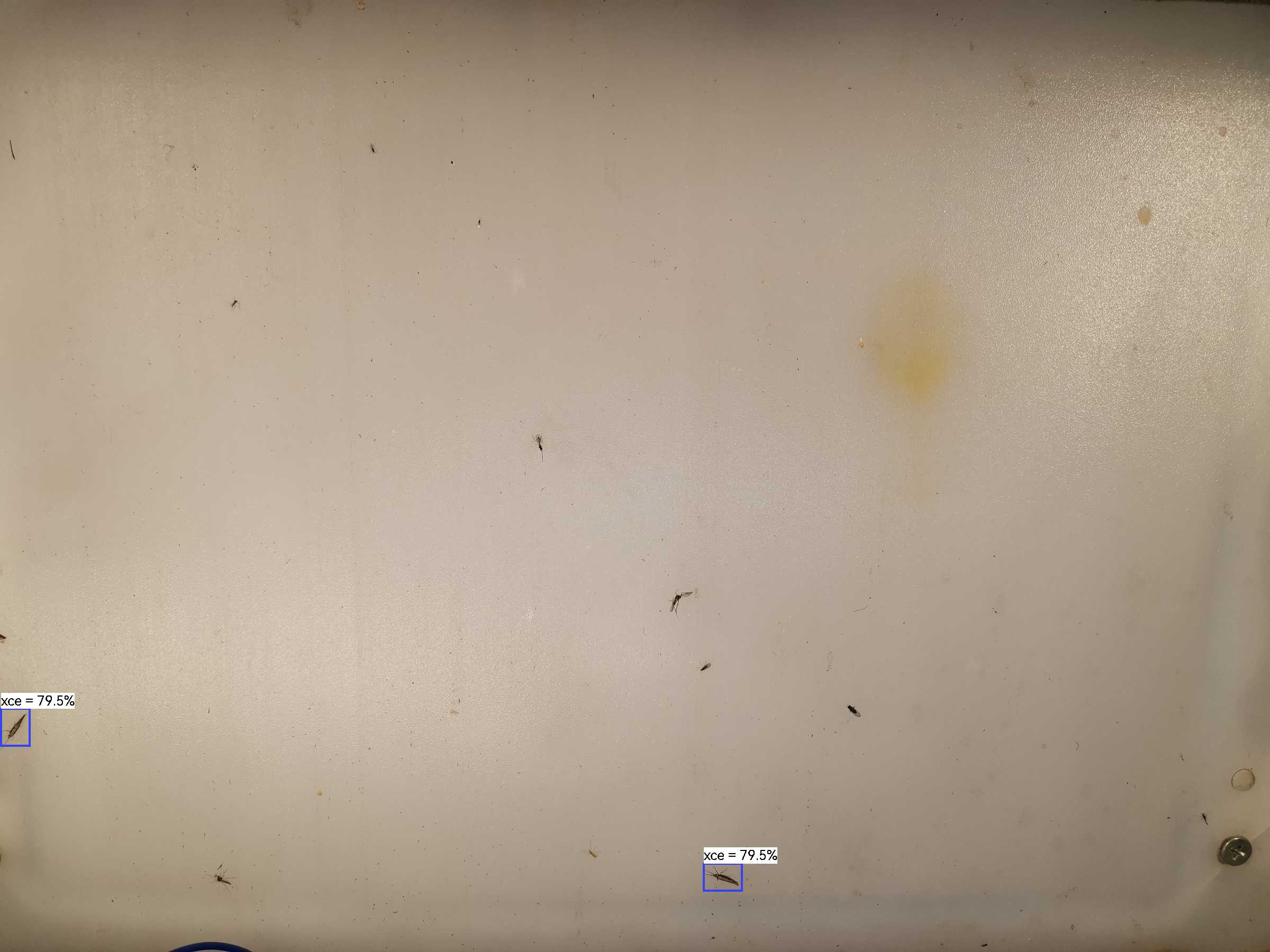 虫情图片21:39:20